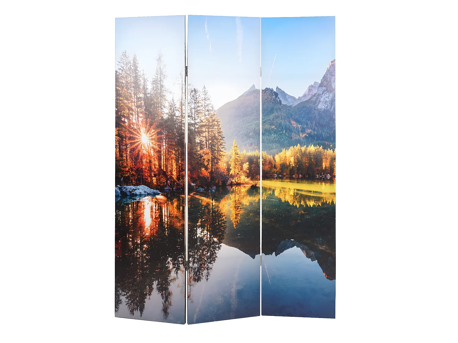 Fotoscherm met geluidsisolatie MCW-L55,  180x122cm Waldsee