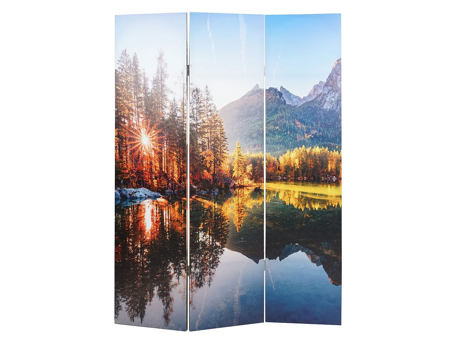 Foto-Paravent mit Schallschutz MCW-L55, 180x122cm Waldsee