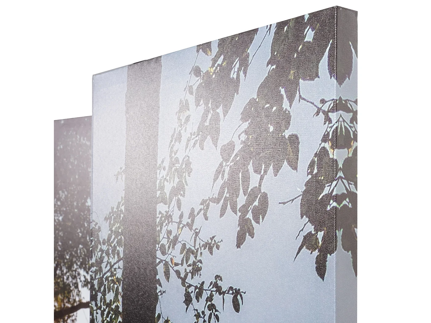 Foto-Paravent mit Schallschutz MCW-L55, 180x122cm Waldsee