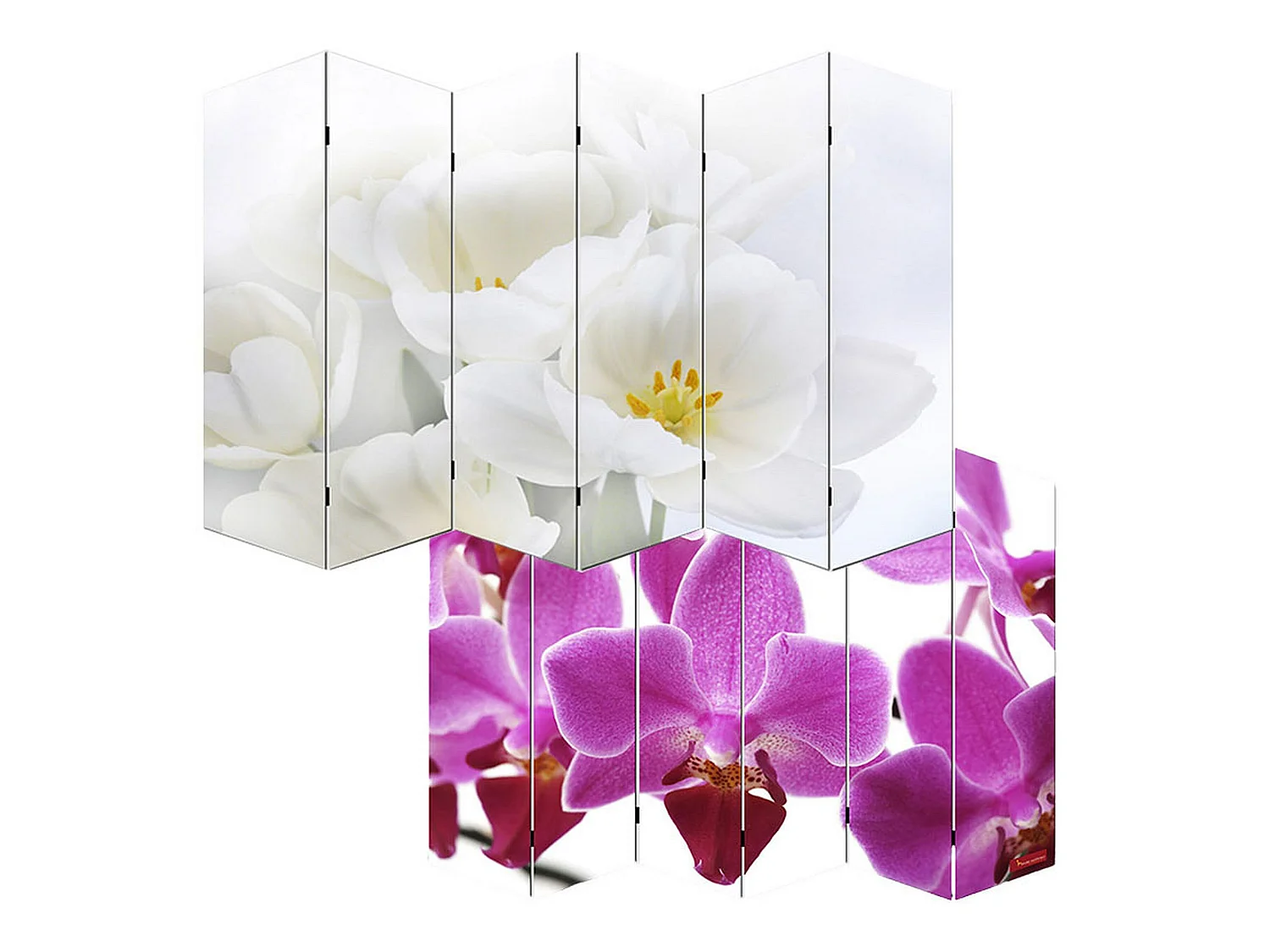 Fotopartition Bagheria,  180x240cm, orchidee