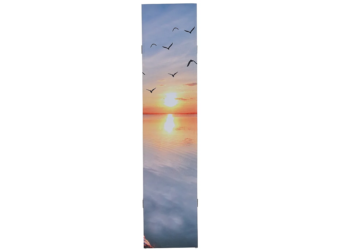 Paravento divisore doppia immagine separè decorativo 4 pannelli T234 160x180cm pier