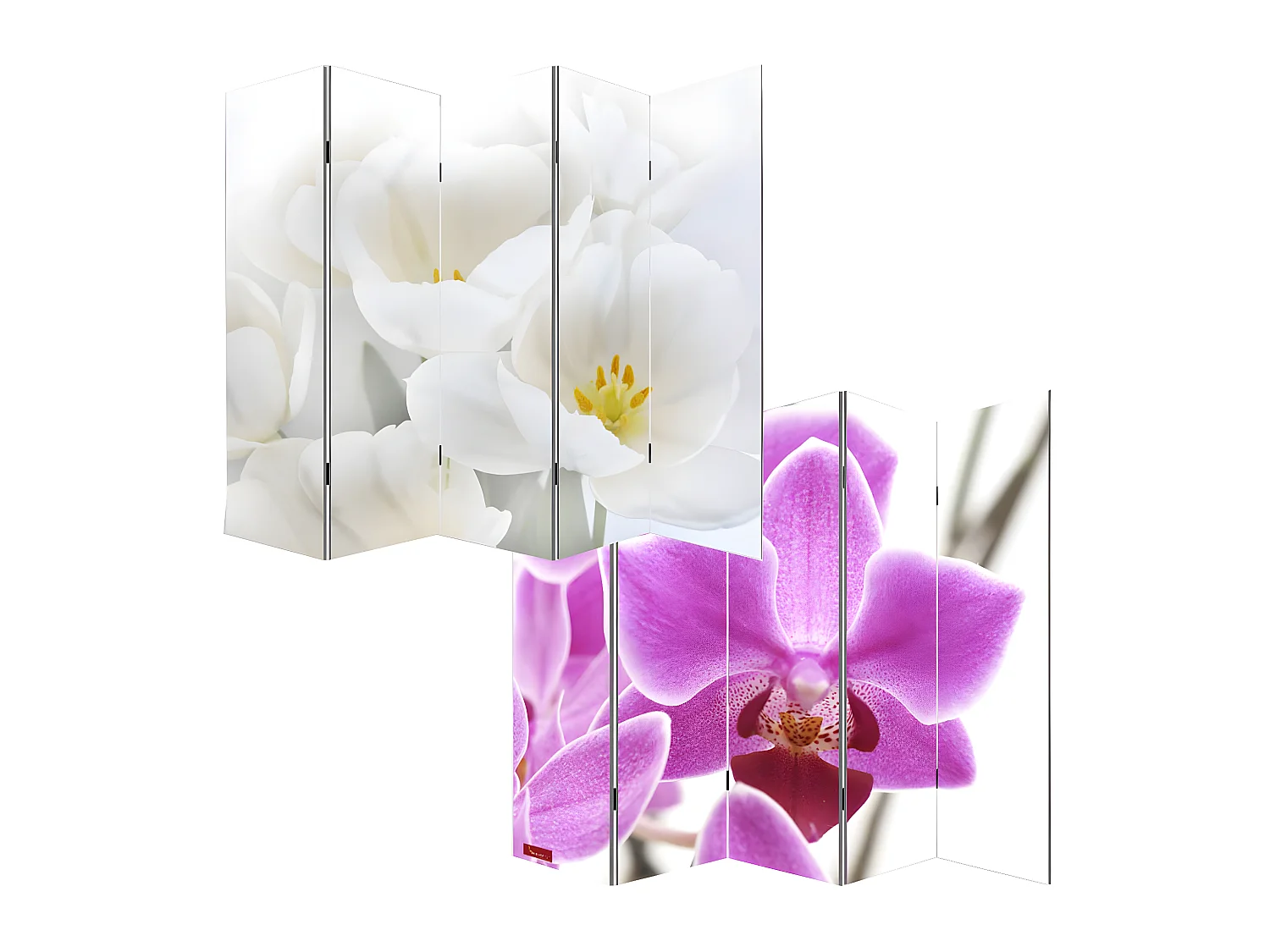Fotopartition Bagheria,  180x200cm, orchidee