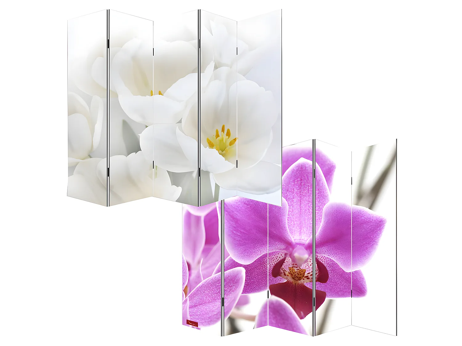 Parawan fotograficzny Bagheria,  180x200cm, orchidea