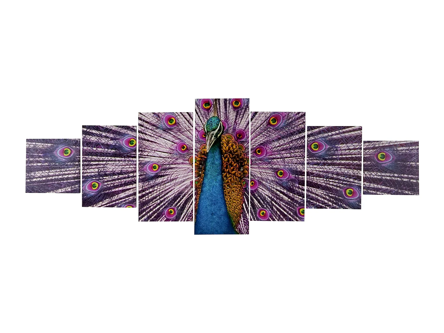 Tableau sur toile H375 Paon (7 pcs.),  Paon