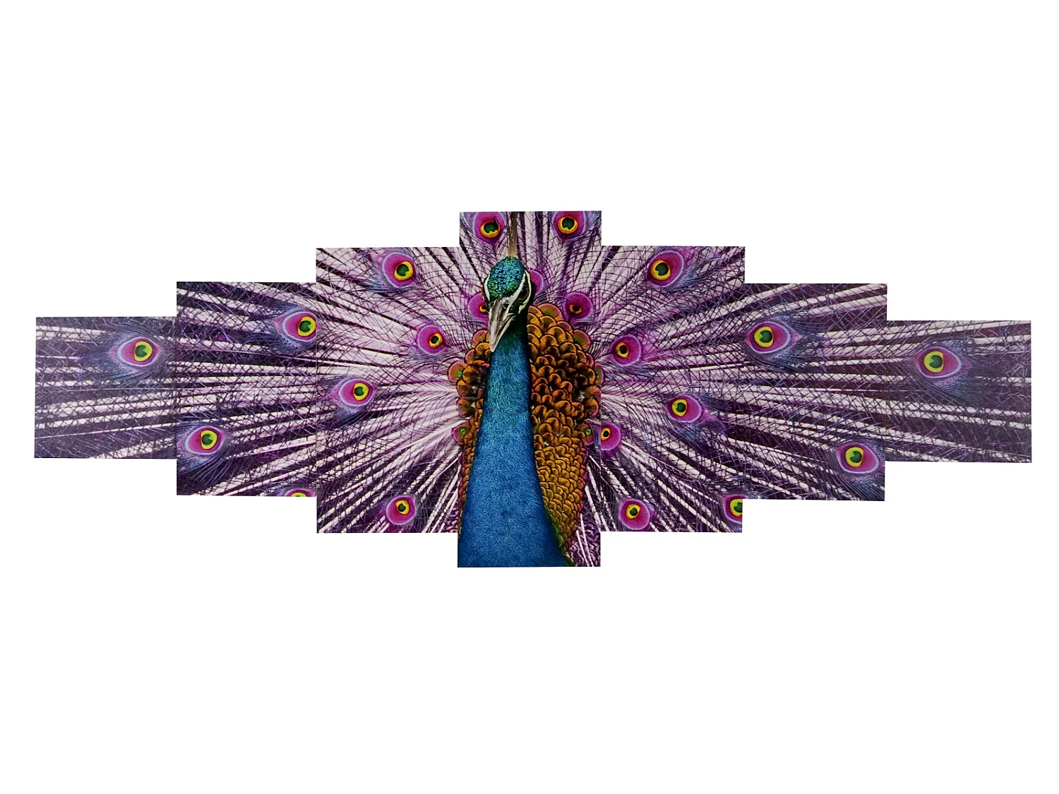 Tableau sur toile H375 Paon (7 pcs.),  Paon