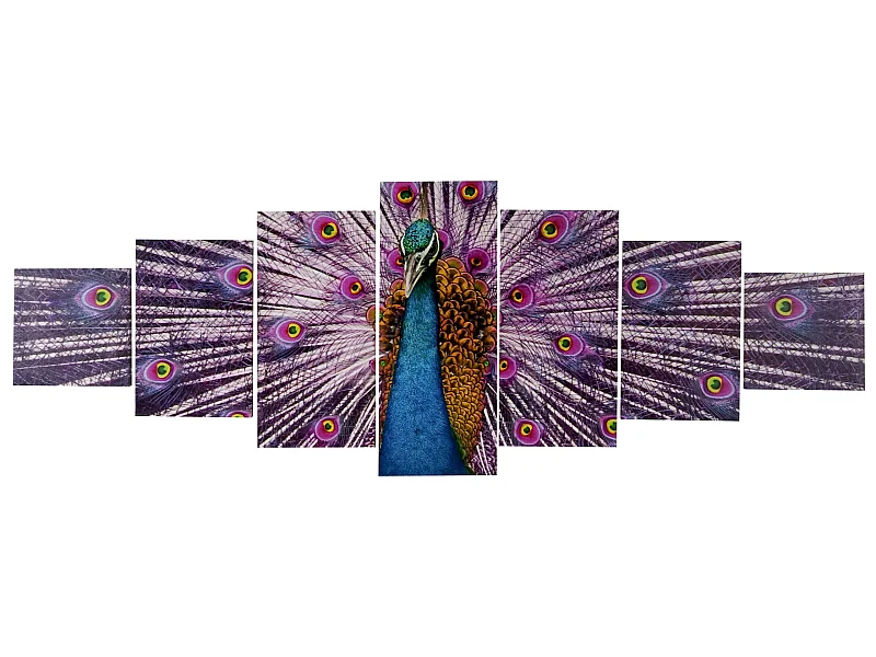 Leinwandbild H375 Pfau (7-tlg.), Pfau