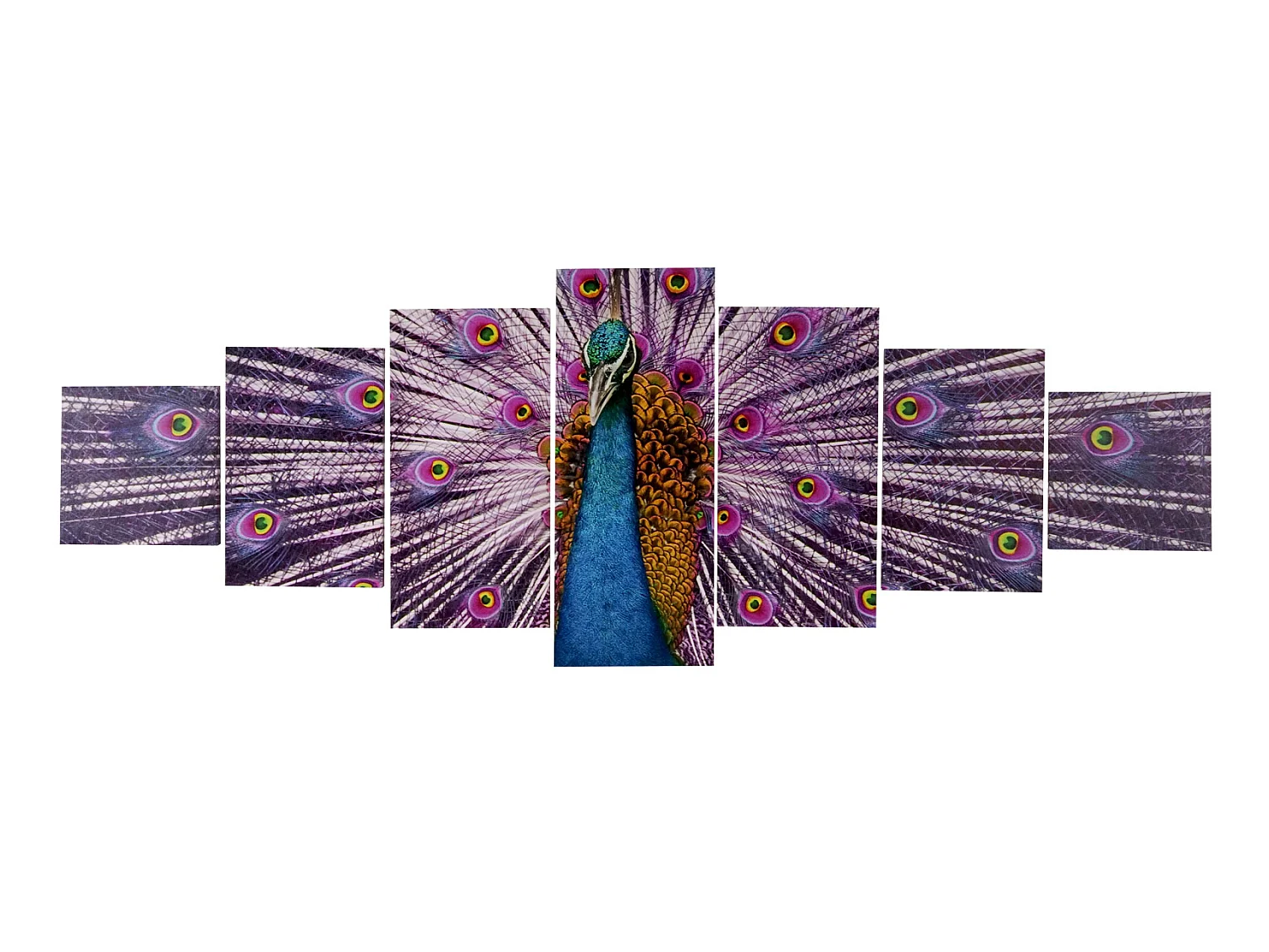 Leinwandbild H375 XL Pfau (7-tlg.), Pfau