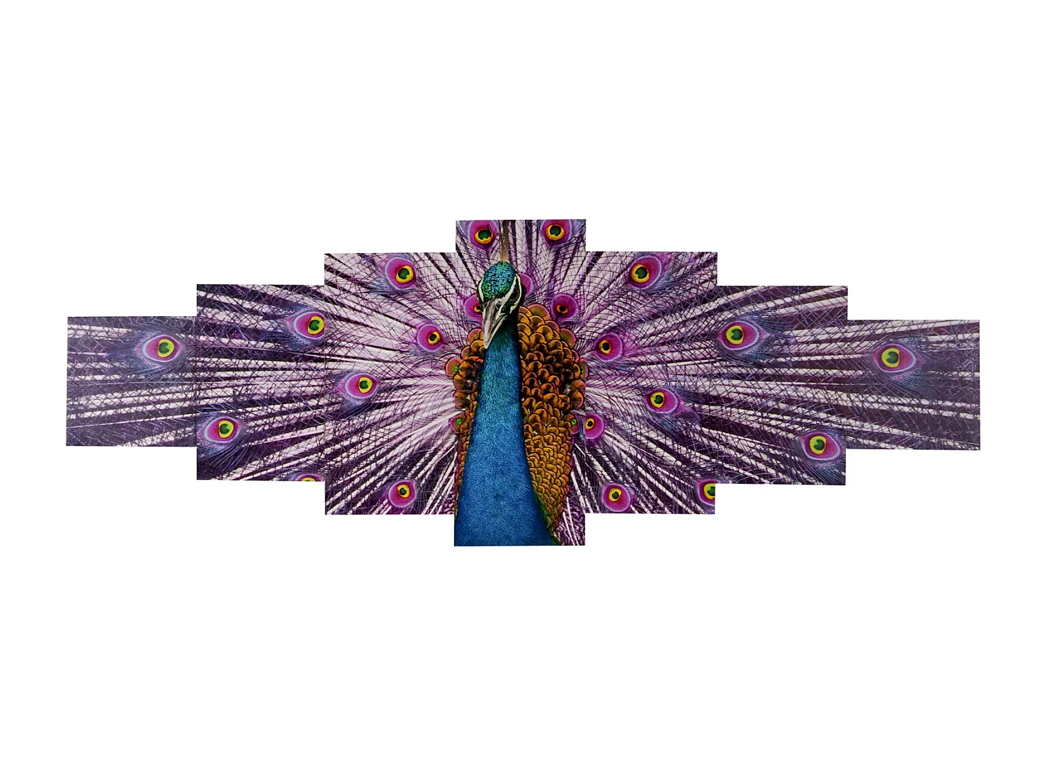 Leinwandbild H375 XL Pfau (7-tlg.), Pfau
