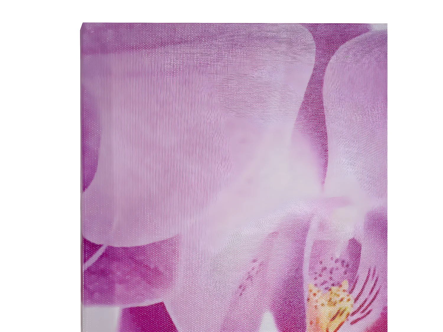 Tableau sur toile H375 Paon (7 pcs.),  plage