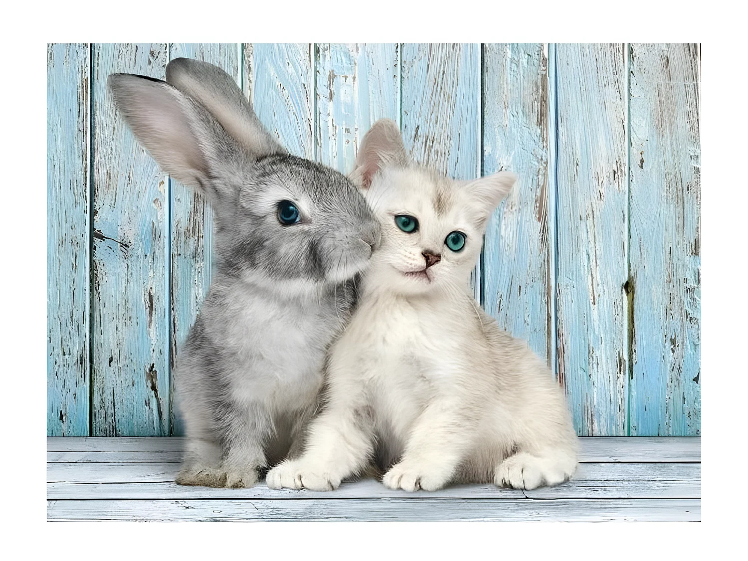 PUZZLE 500 pieces - Chaton et Lapin - 49 X 36 cm