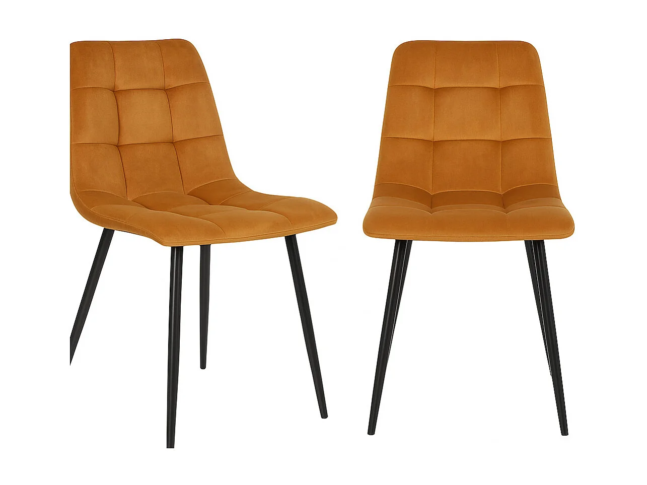 Lot de 2 chaises de salle à manger MODA – Velours capitonné et pieds en acier noir-Jaune moutarde