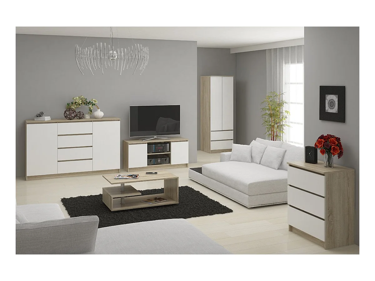 TV-Meubel Dąb Sonoma/Wit 120 cm met 2 Deuren en 1 Plank, Laminaat en ABS Rand, Mat Afwerking, Zelfmontage