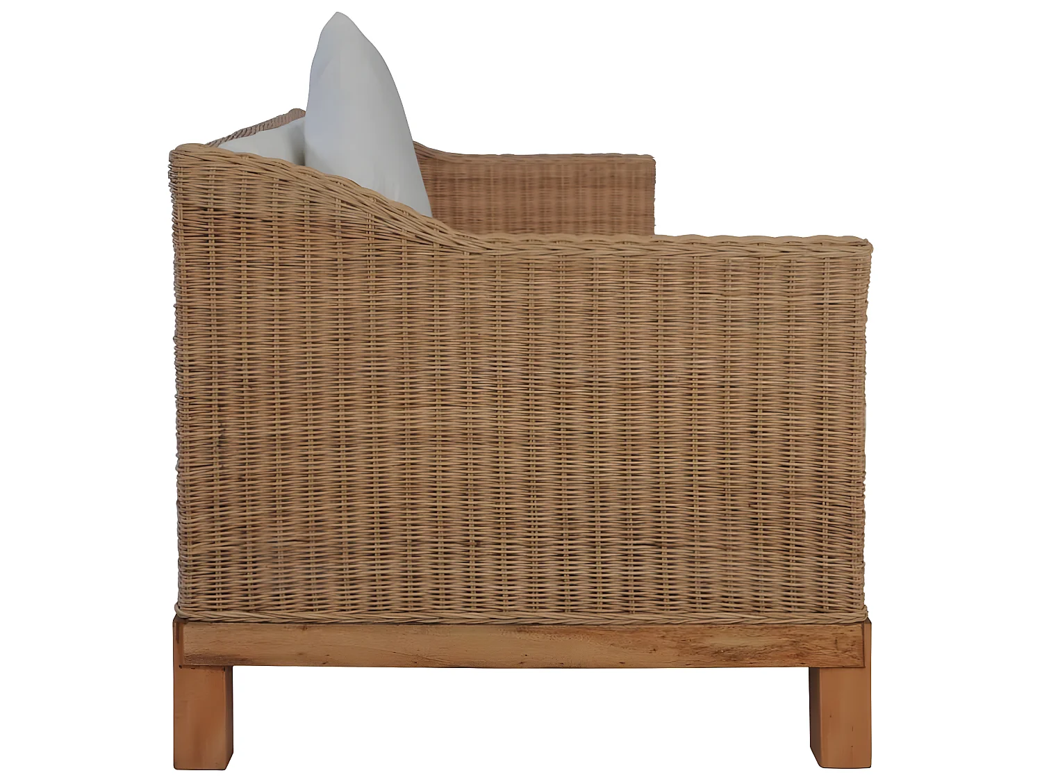 Canapé à 3 places avec coussins Rotin naturel