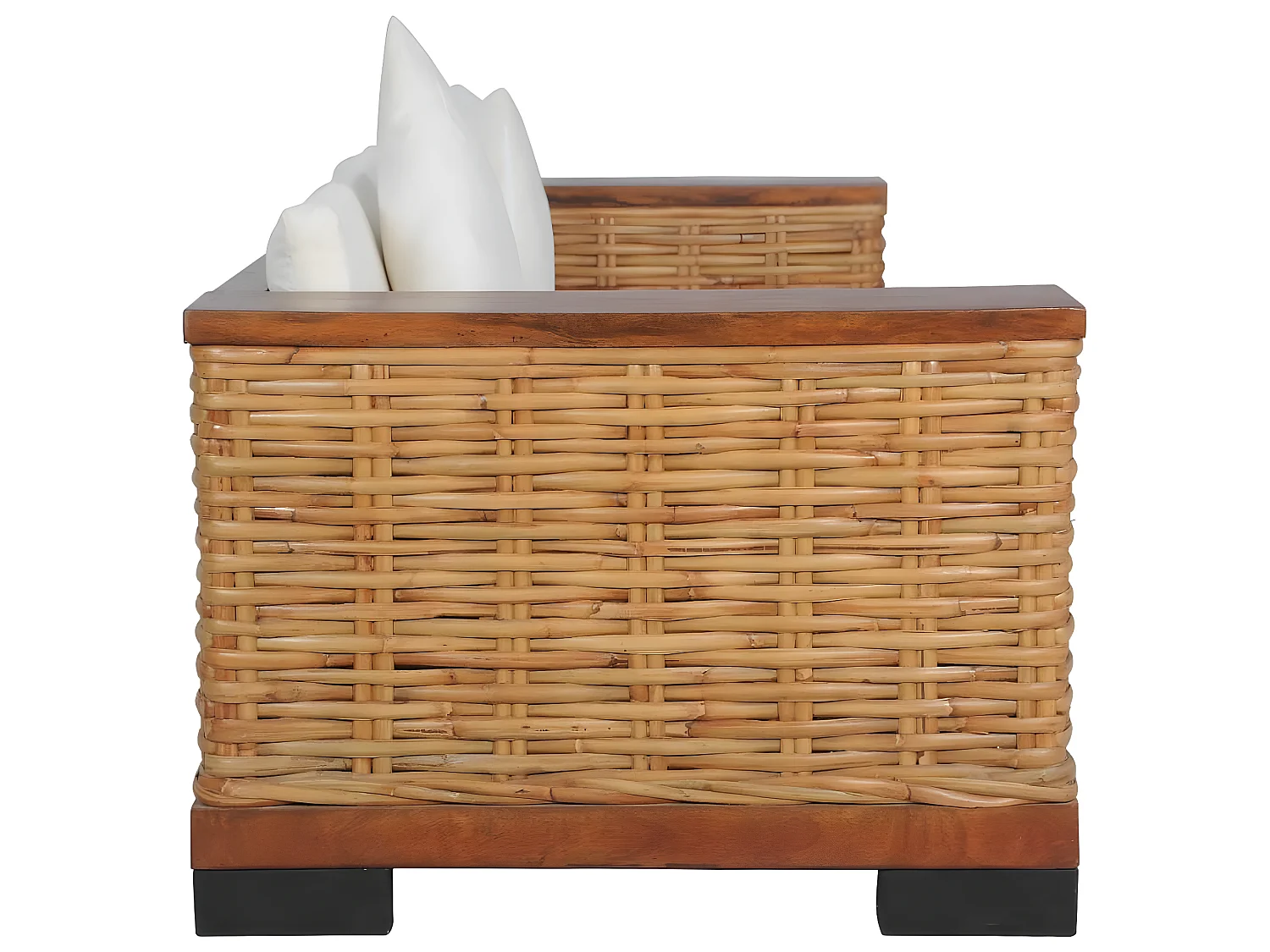 Canapé à 3 places avec coussins Marron Rotin naturel