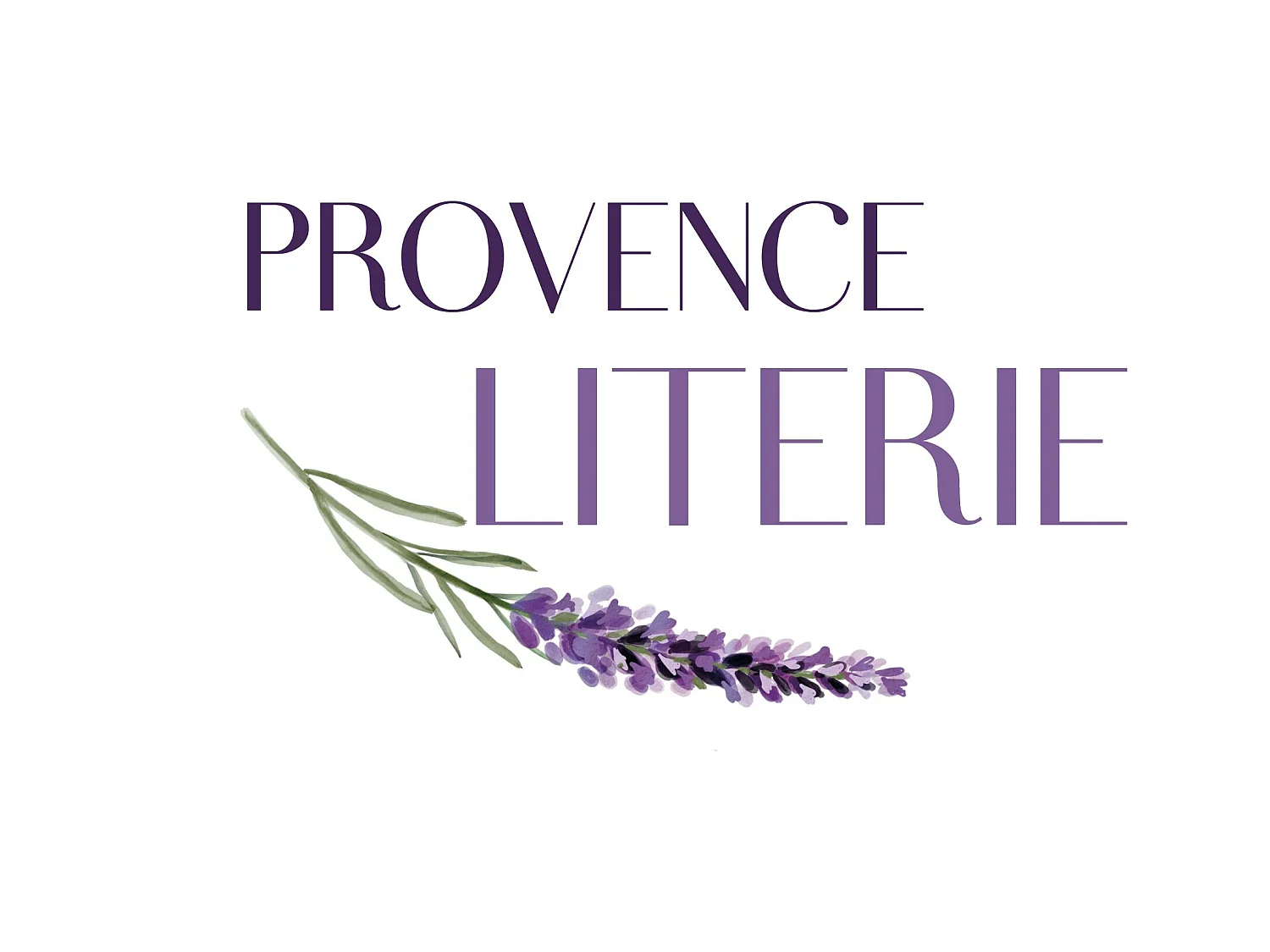 Provence Literie Matelas 80x190 cm Memoire de Forme 70 Kg/m3 - Hauteur 30 cm Tres Ferme + Oreiller Visco - 7 Zones de Co