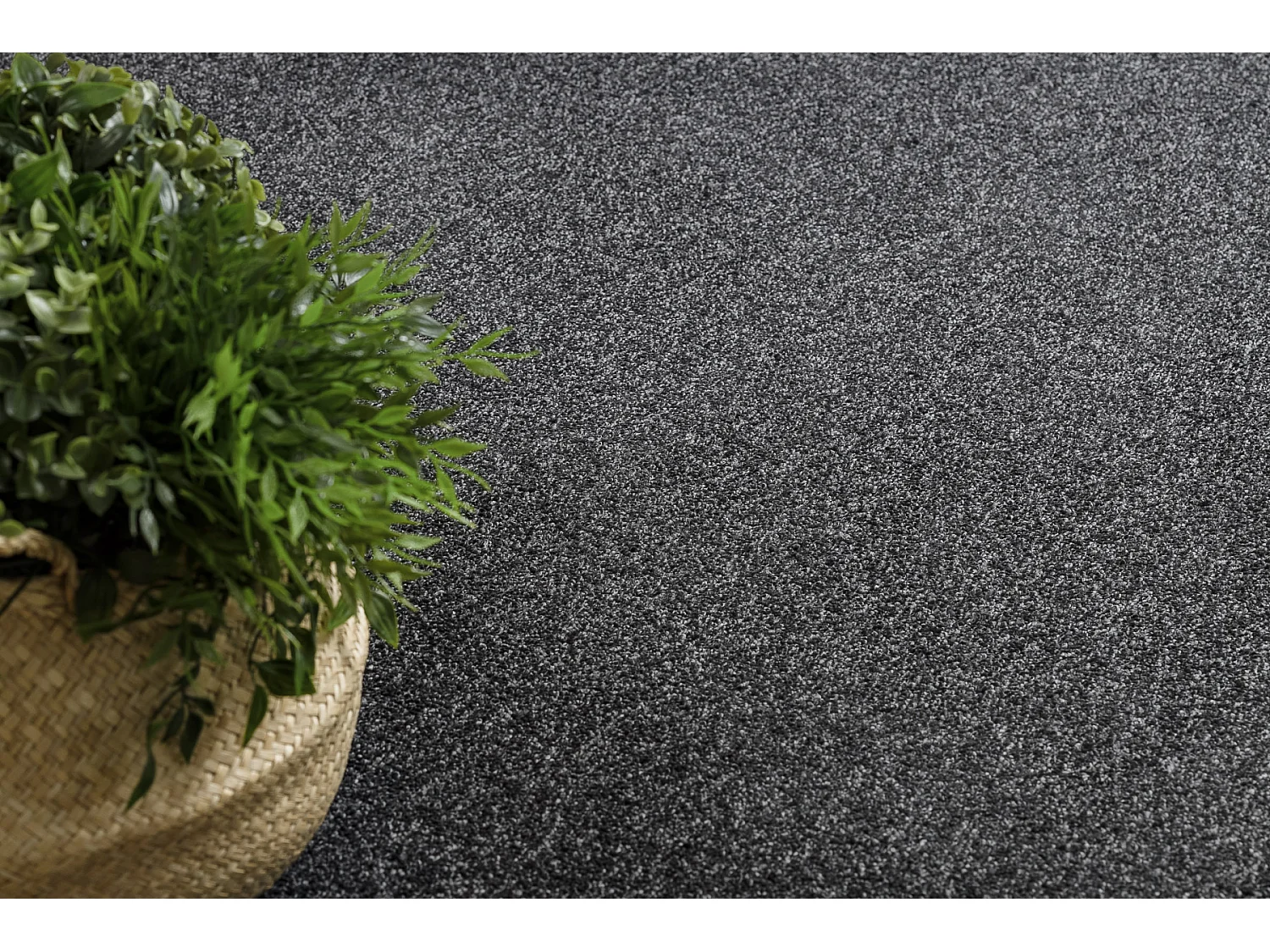 TAPIS cercle EXCELLENCE noir 141 plaine MÉLANGE cercle 150 cm