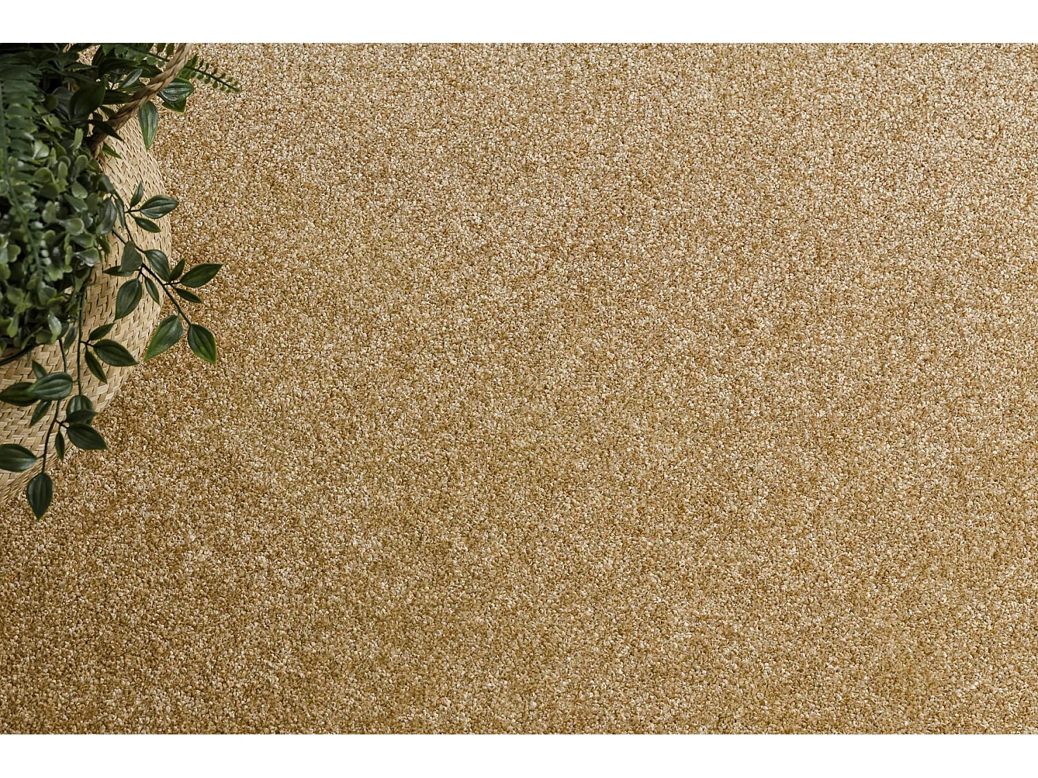 TAPIS cercle EXCELLENCE or 511 plaine MÉLANGE cercle 200 cm