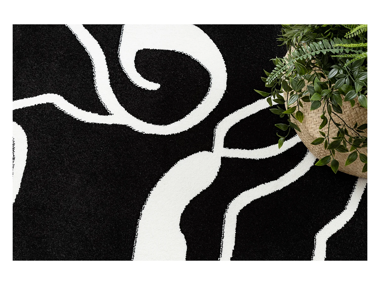 Tapis HAMPTON Rosa cercle rouges, fleurs noir cercle 160 cm