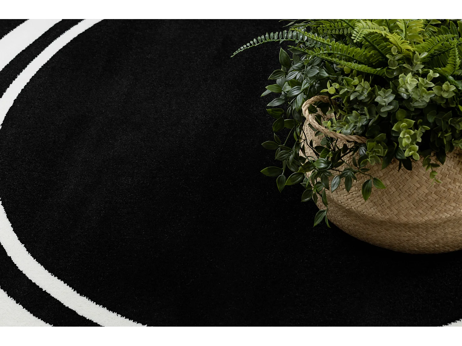 Tapis HAMPTON Border cercle cadre noir cercle 120 cm