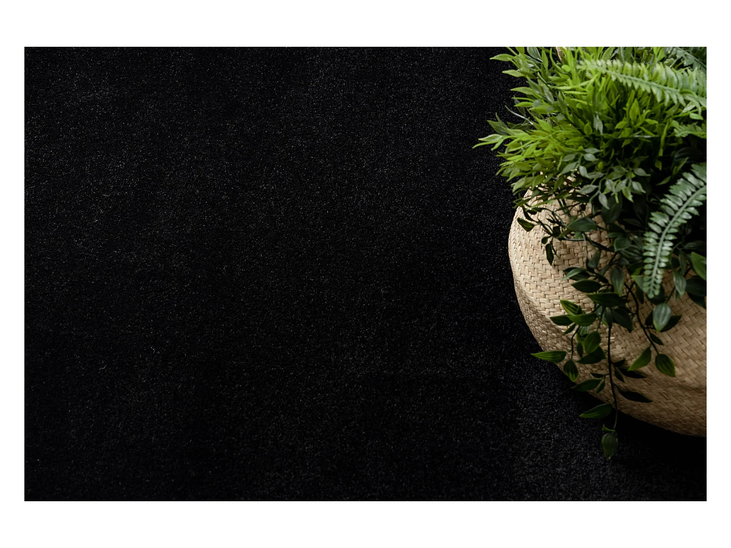 Tapis HAMPTON Chick cercle cadre noir cercle 160 cm