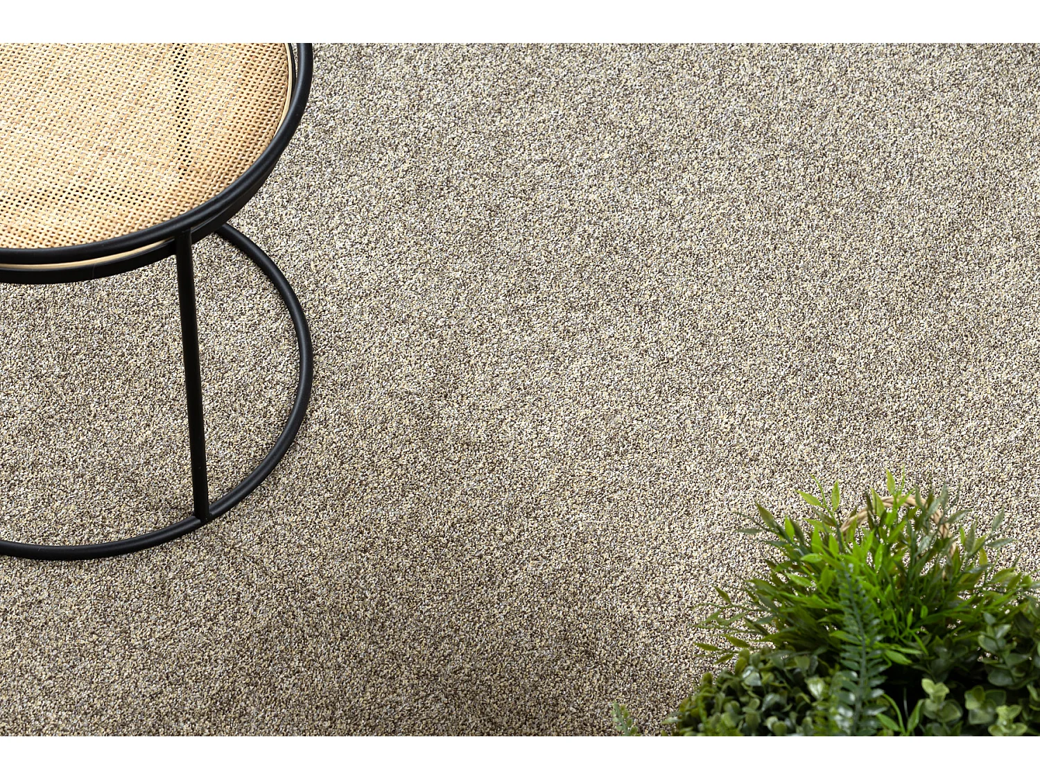 TAPIS cercle EXCELLENCE marron clair 222 plaine MÉLANGE cercle 200 cm