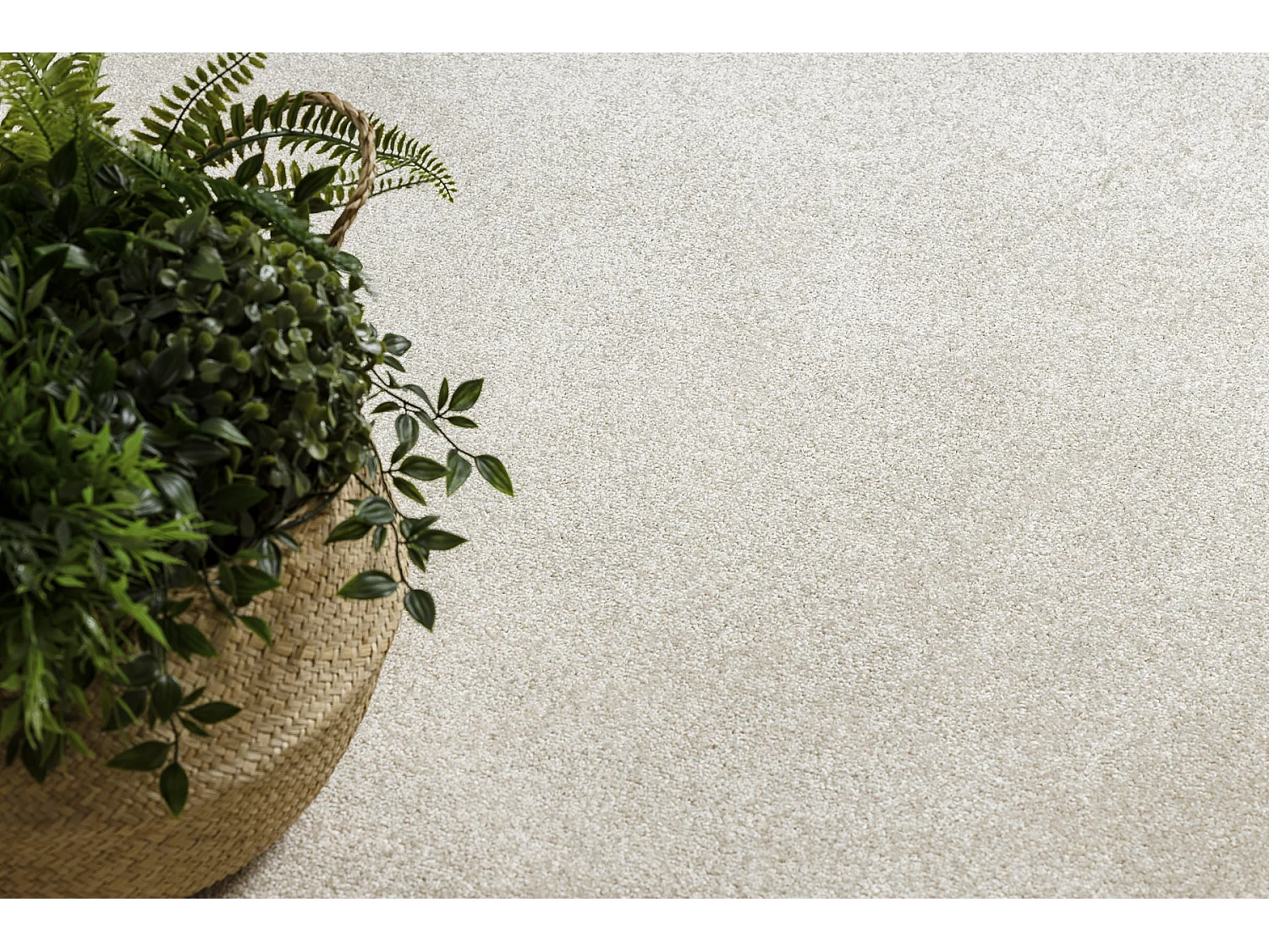 TAPPETO cerchio EXCELLENCE crema 305 pianura multicolore cercle 100 cm