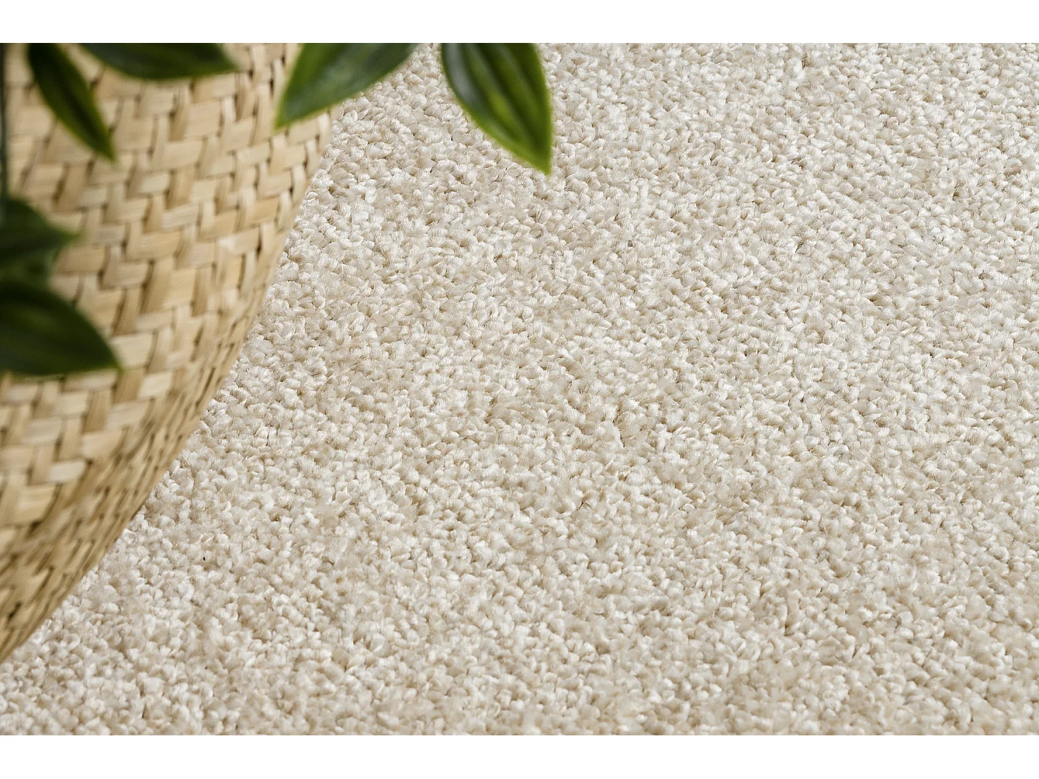 TAPPETO cerchio EXCELLENCE crema 305 pianura multicolore cercle 100 cm