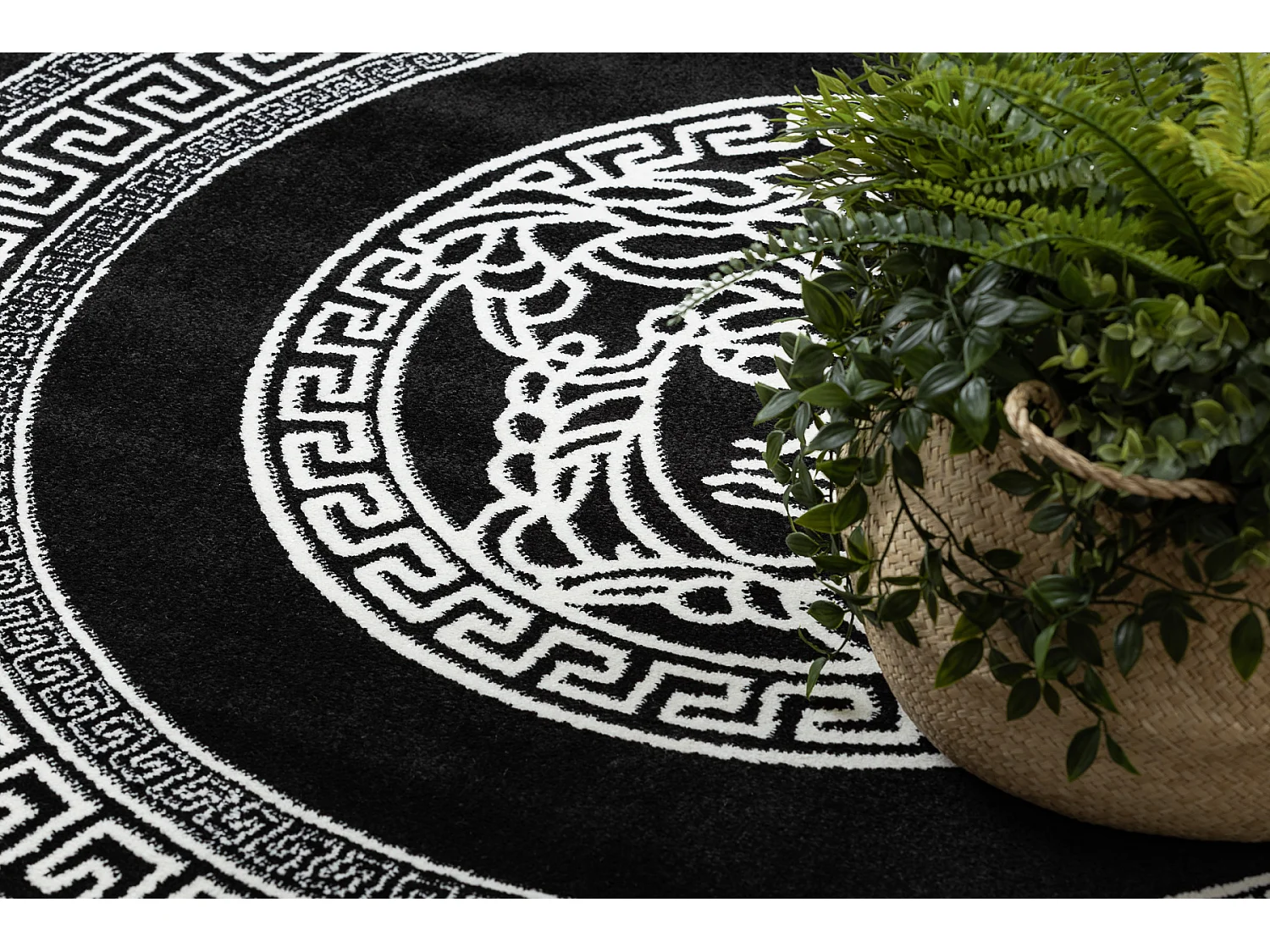 Tapis HAMPTON Medusa cercle méduse grec noir cercle 200 cm