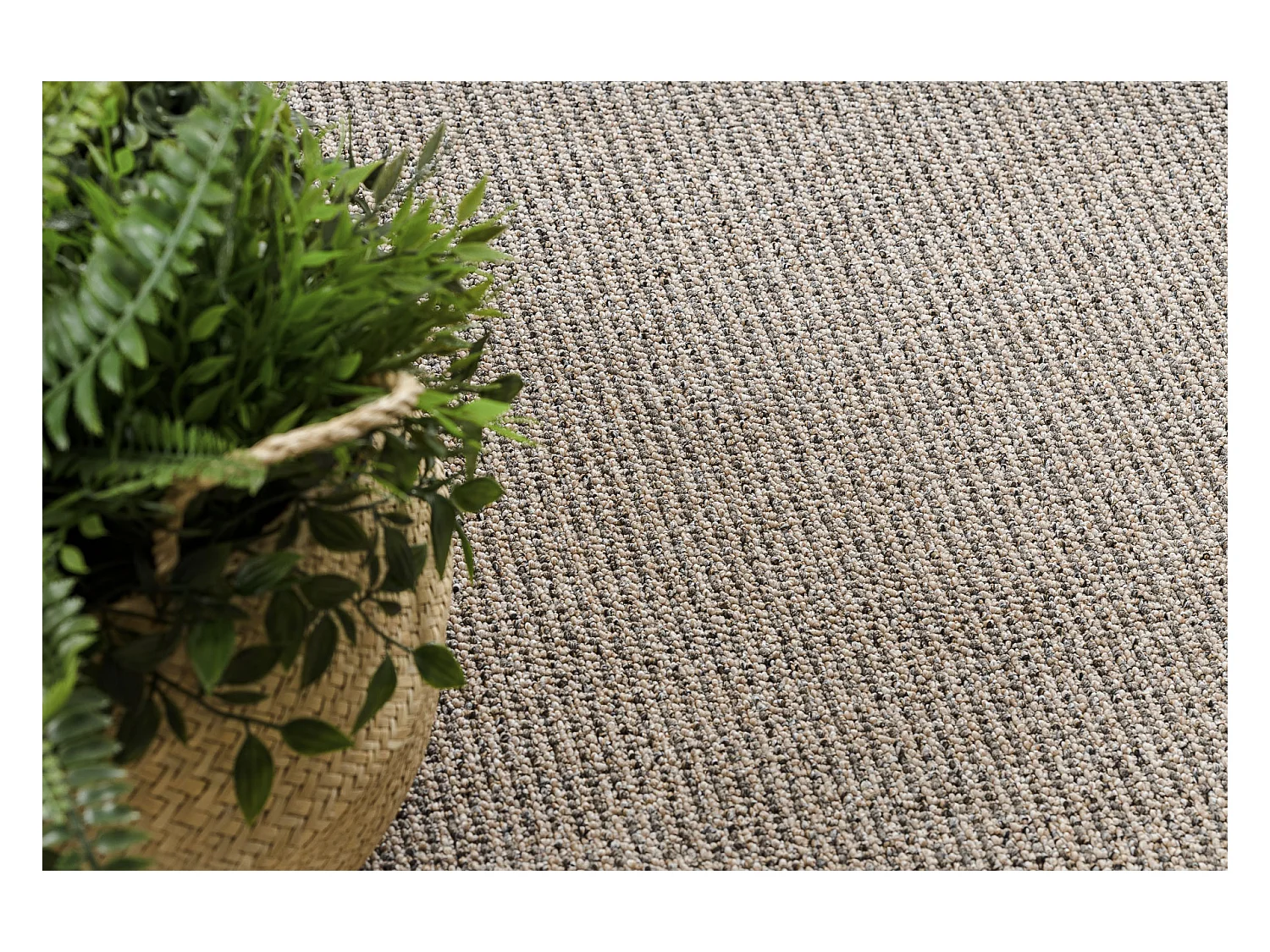 TAPIS CERCLE PRIUS 39 beige  cercle 170 cm