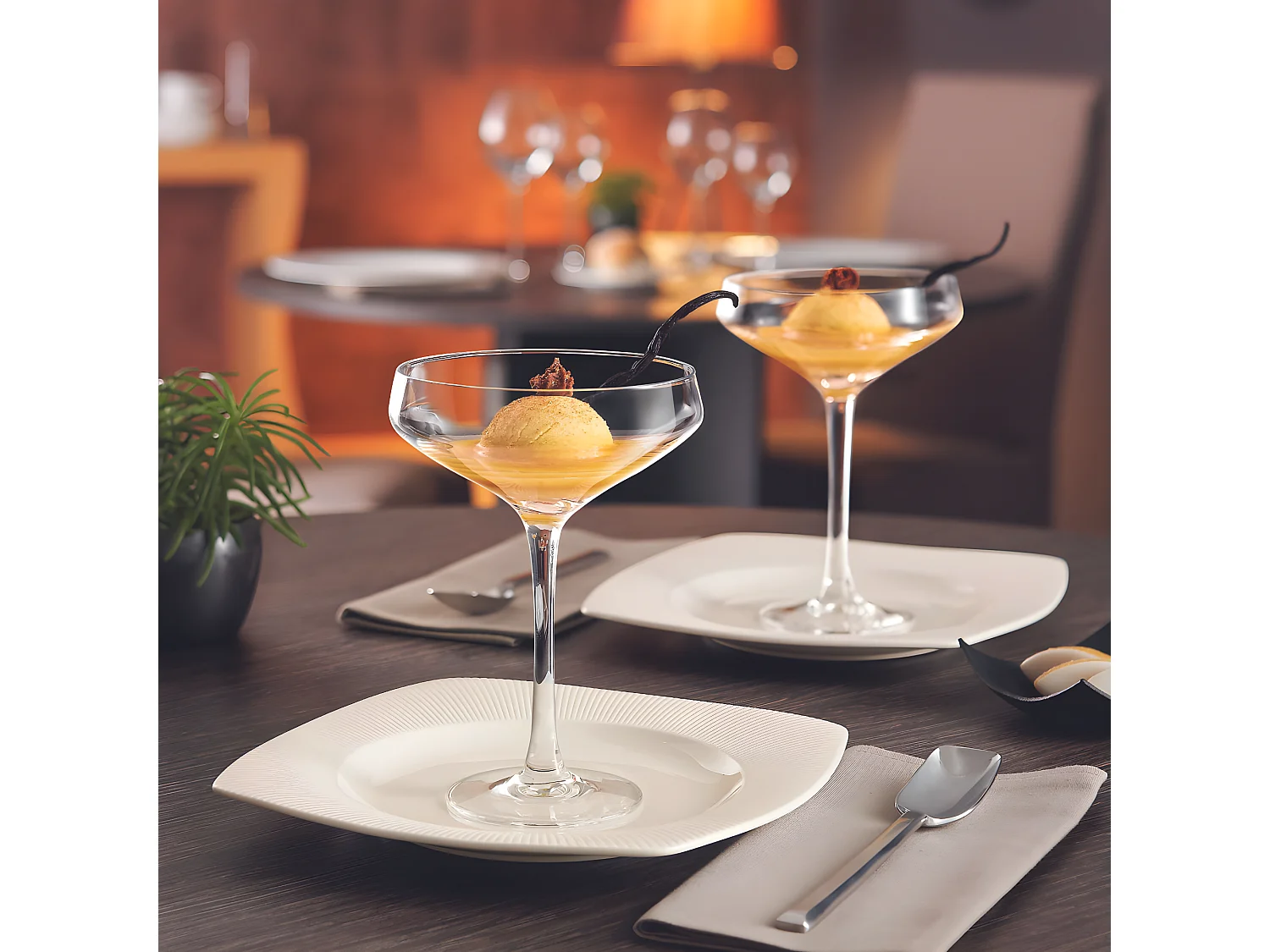 Champagne & Cocktail - 6 coupes 30 cl