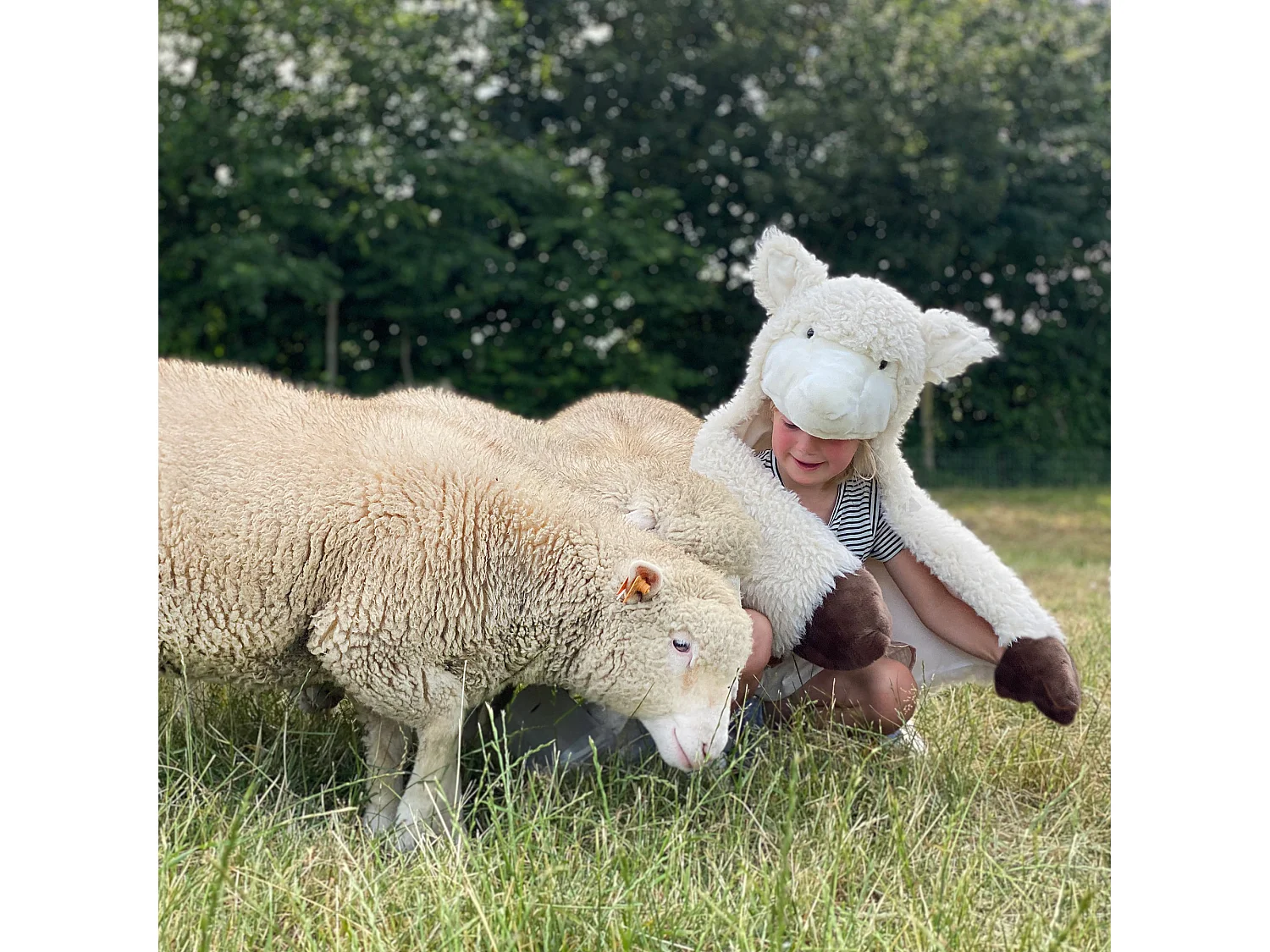 Déguisement enfant en peluche polyester et coton Mouton Harry