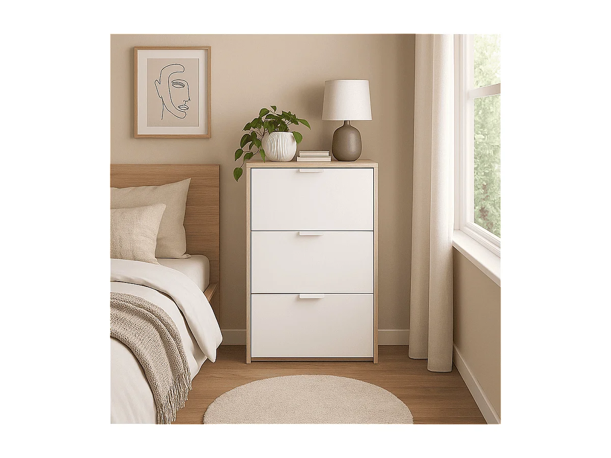 Schoenenkast 3 kleppen Zapateros - L60 cm