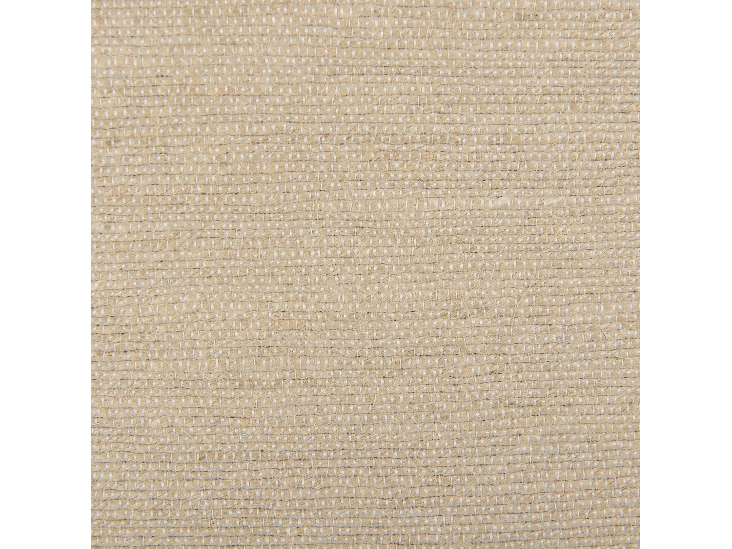 Lot de 2 coussins décoratifs ELLIOTTIA Jute 45 x 45 cm Beige Unicolore