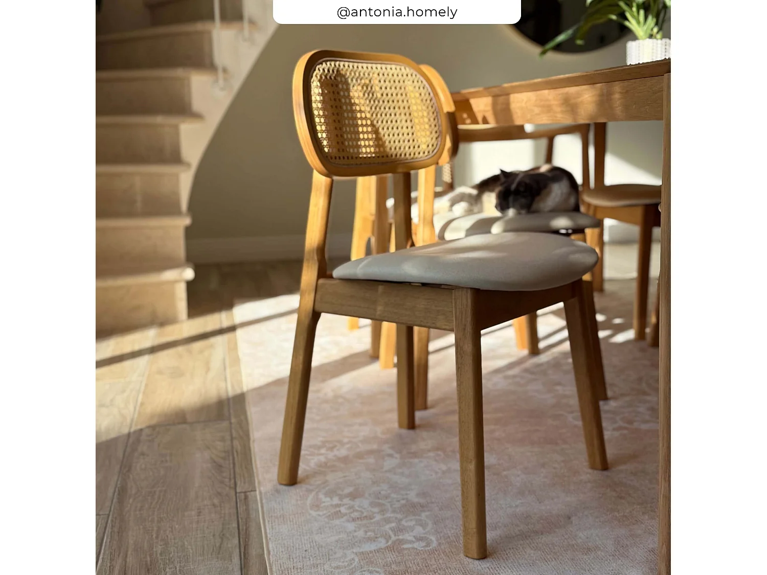 Lot de 2 chaises en bois clair, tissu beige et rotin synthétique - Maria