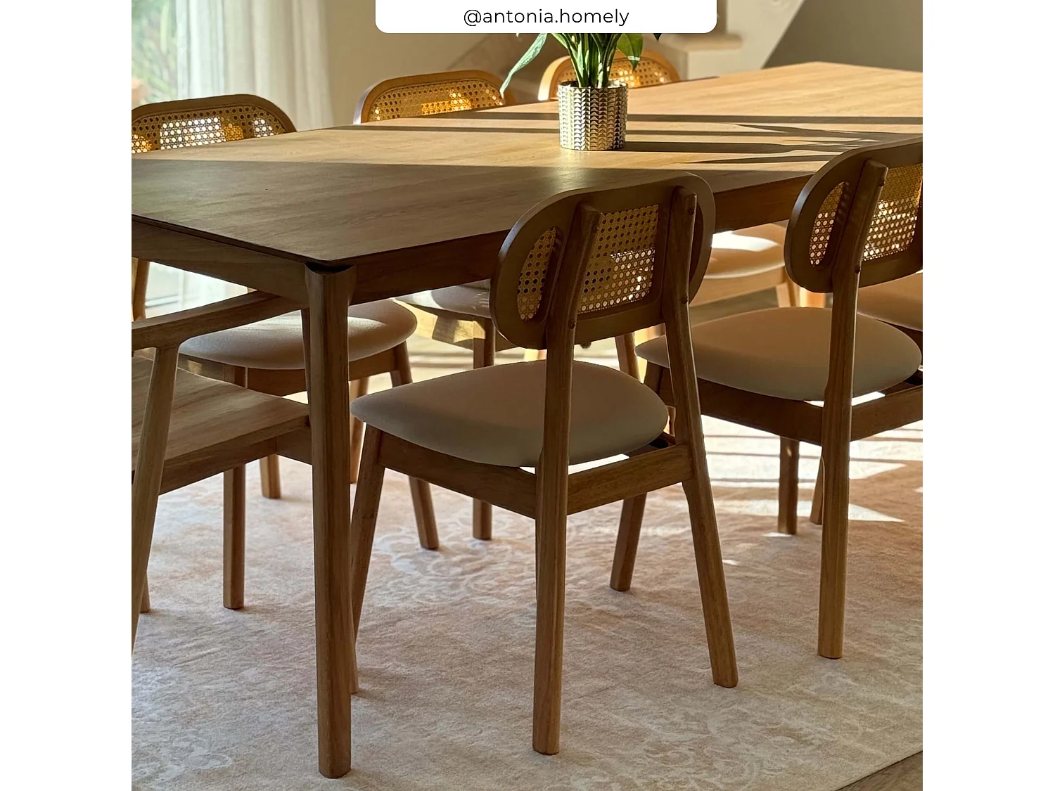 Lot de 2 chaises en bois clair, tissu beige et rotin synthétique - Maria