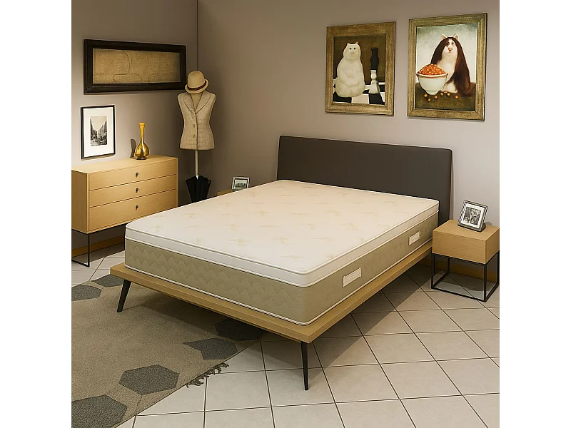 Literie Julien Surmatelas Anatomique Hyper Moelleux et Confort 200x200 x 5 cm Déhoussable Entretien Facile - à