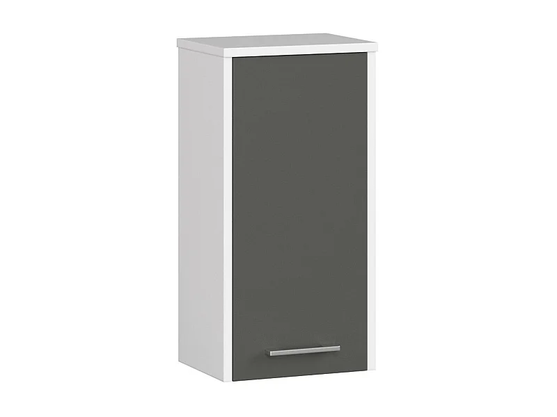 Hangende Badkamerkast FIN W30 met 1 Deur / AKORD Furniture Factory / Wit - Grafietgrijs / 30 x 60 x 22,5 cm