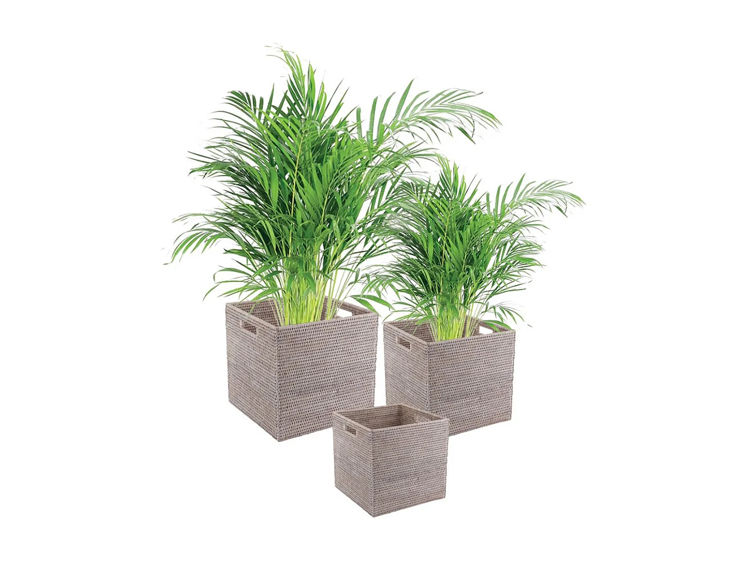 Caisse de rangement en rotin patiné gris (lot de 2)