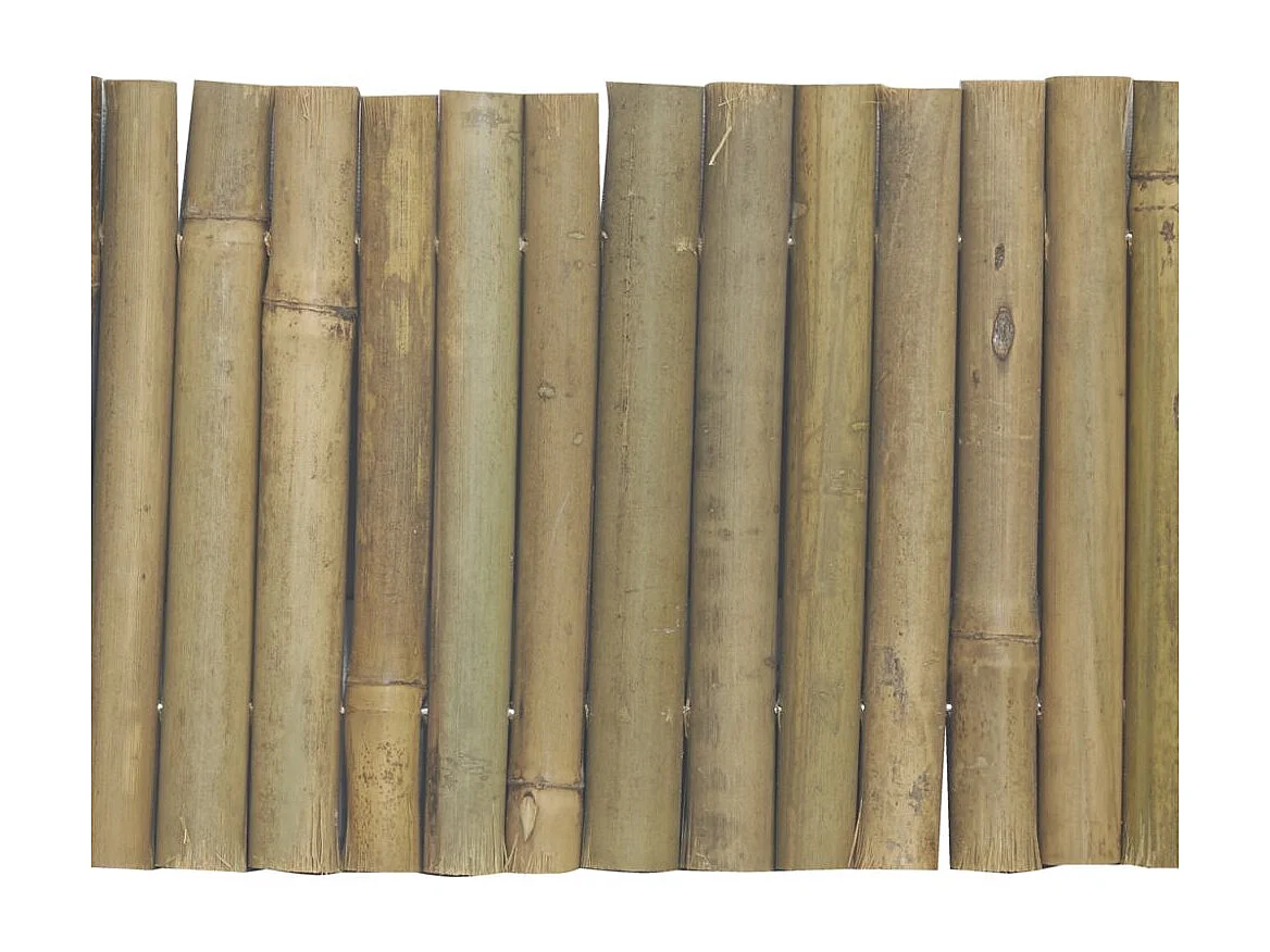 Bordure en bambou naturel Unitaire