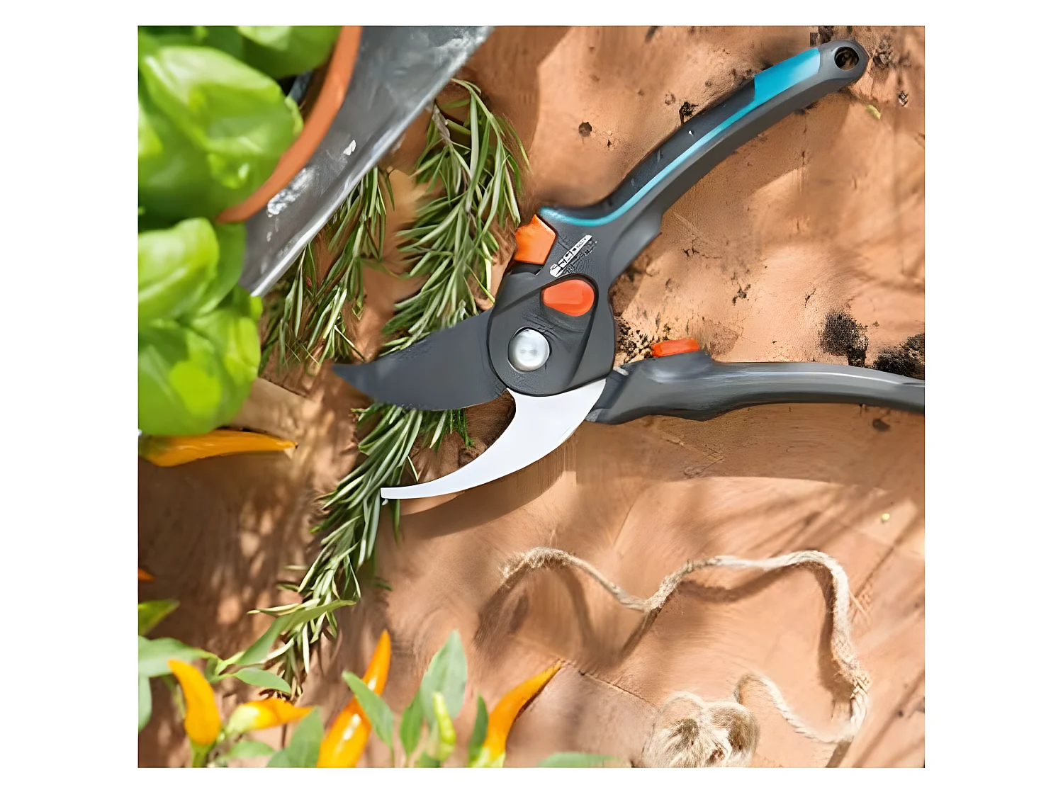 GARDENA Secateur a lame franche Comfort B/M - O24mm max - Lames acier inoxydable - Poignee ergonomique - Garantie 25 ans 8904-20