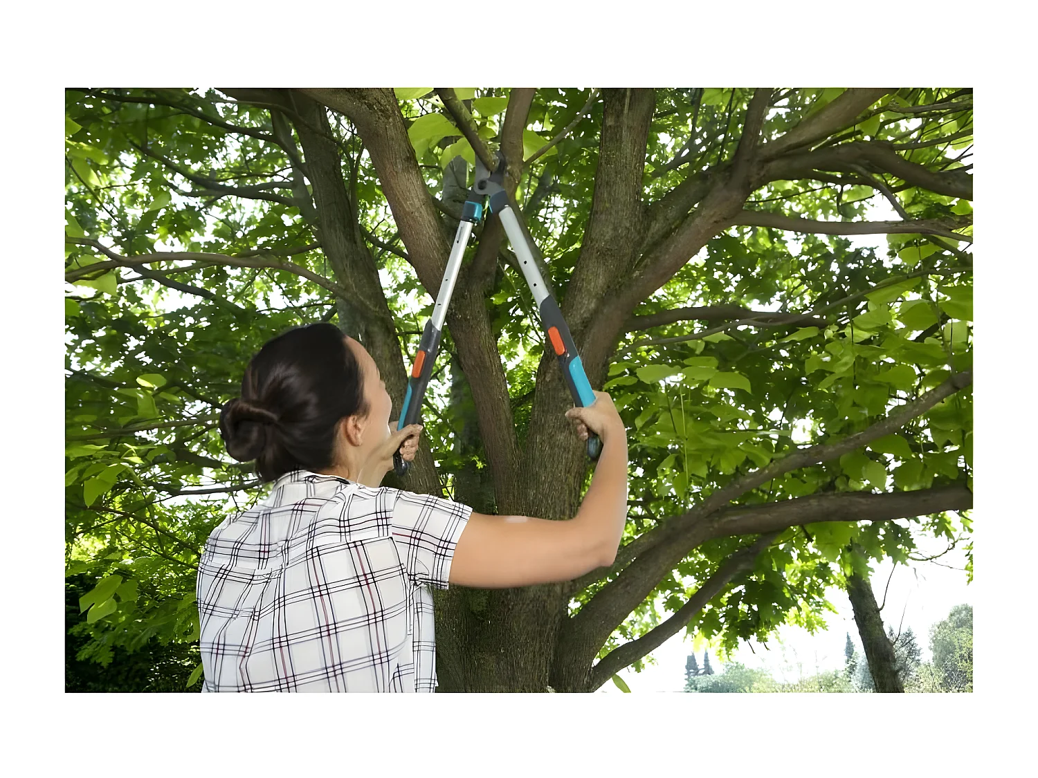 GARDENA Coupe-branches telescopique TeleCut 520-670 B - Lame franche - Coupe O42mm max - Anti adherence - Garantie 25 ans 12005-