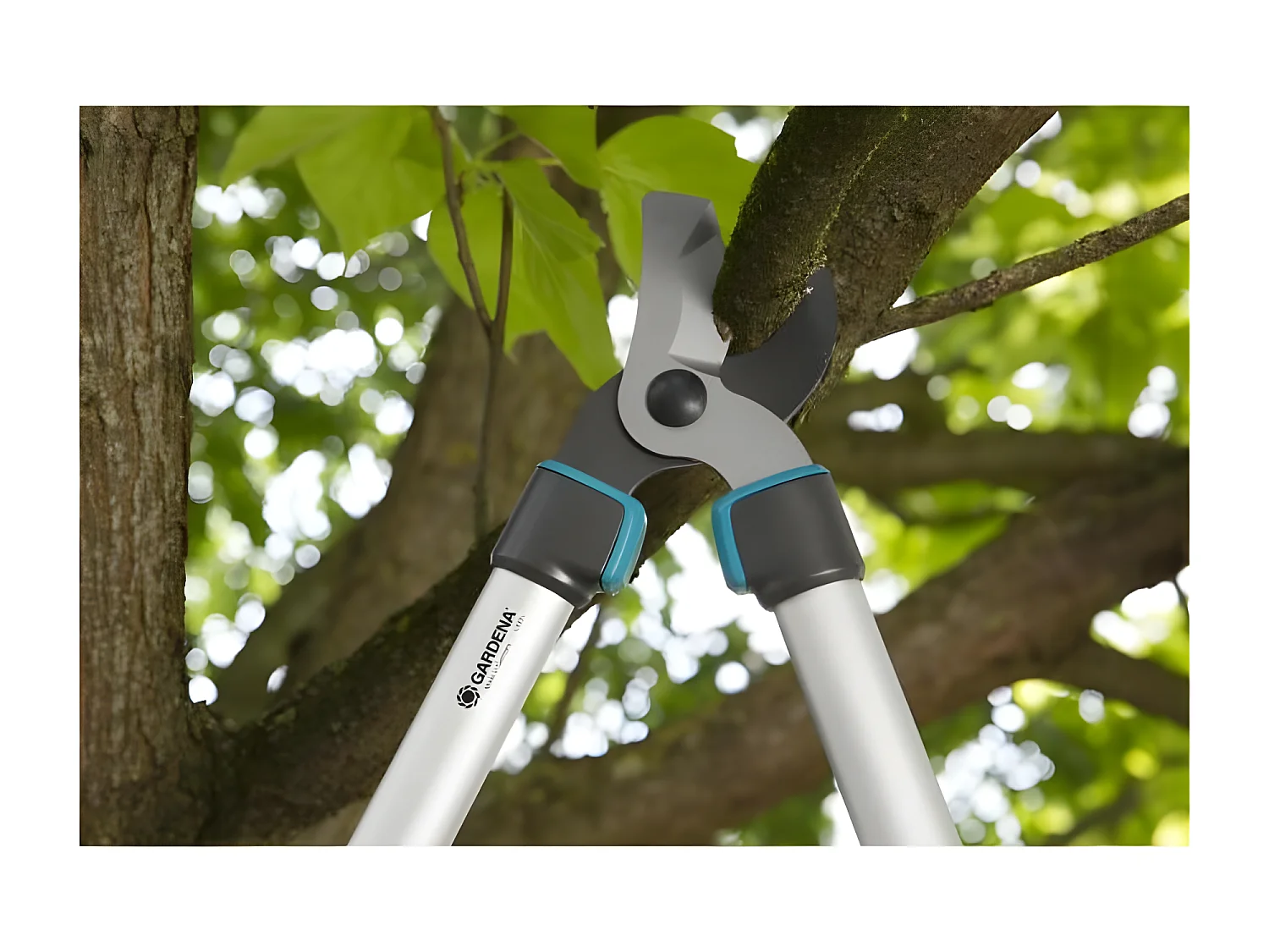 GARDENA Coupe-branches telescopique TeleCut 520-670 B - Lame franche - Coupe O42mm max - Anti adherence - Garantie 25 ans 12005-