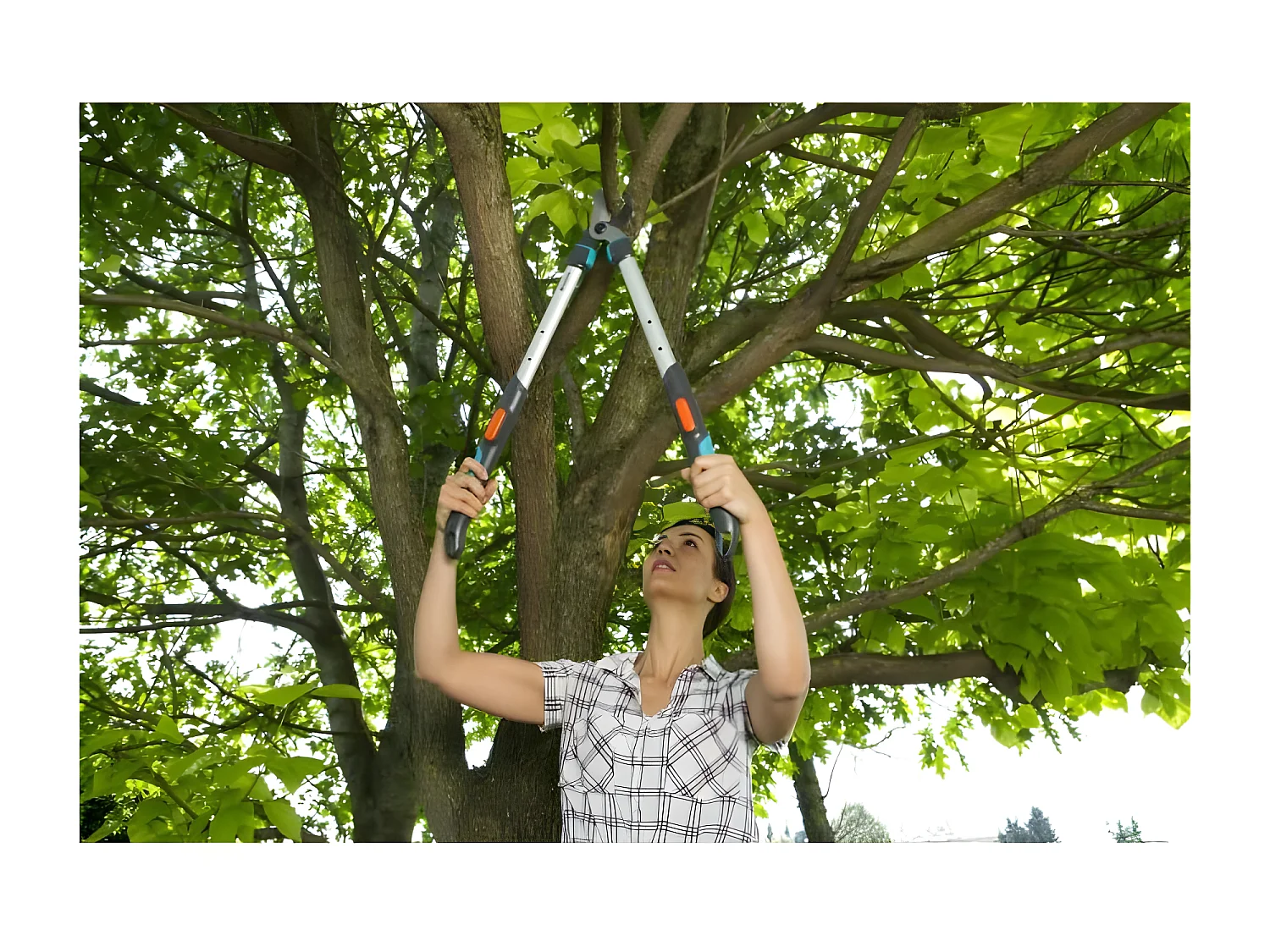 GARDENA Coupe-branches telescopique TeleCut 520-670 B - Lame franche - Coupe O42mm max - Anti adherence - Garantie 25 ans 12005-