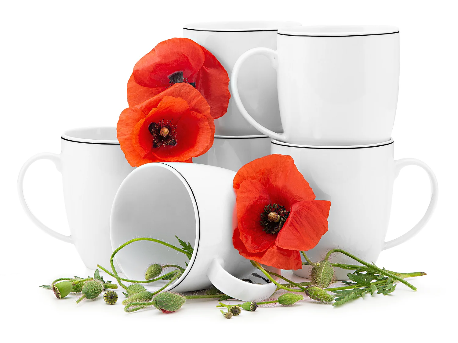 Becher 6-tlg. - Porzellan - Schwarzer Rand - BOSS