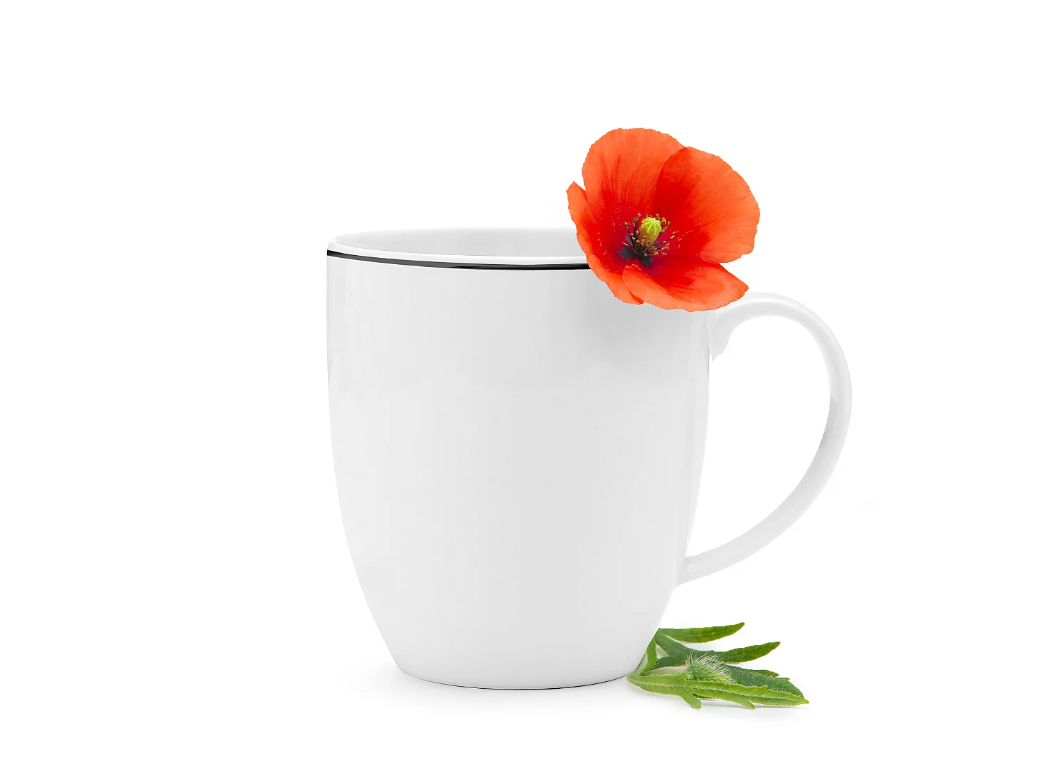 Becher 6-tlg. - Porzellan - Schwarzer Rand - BOSS