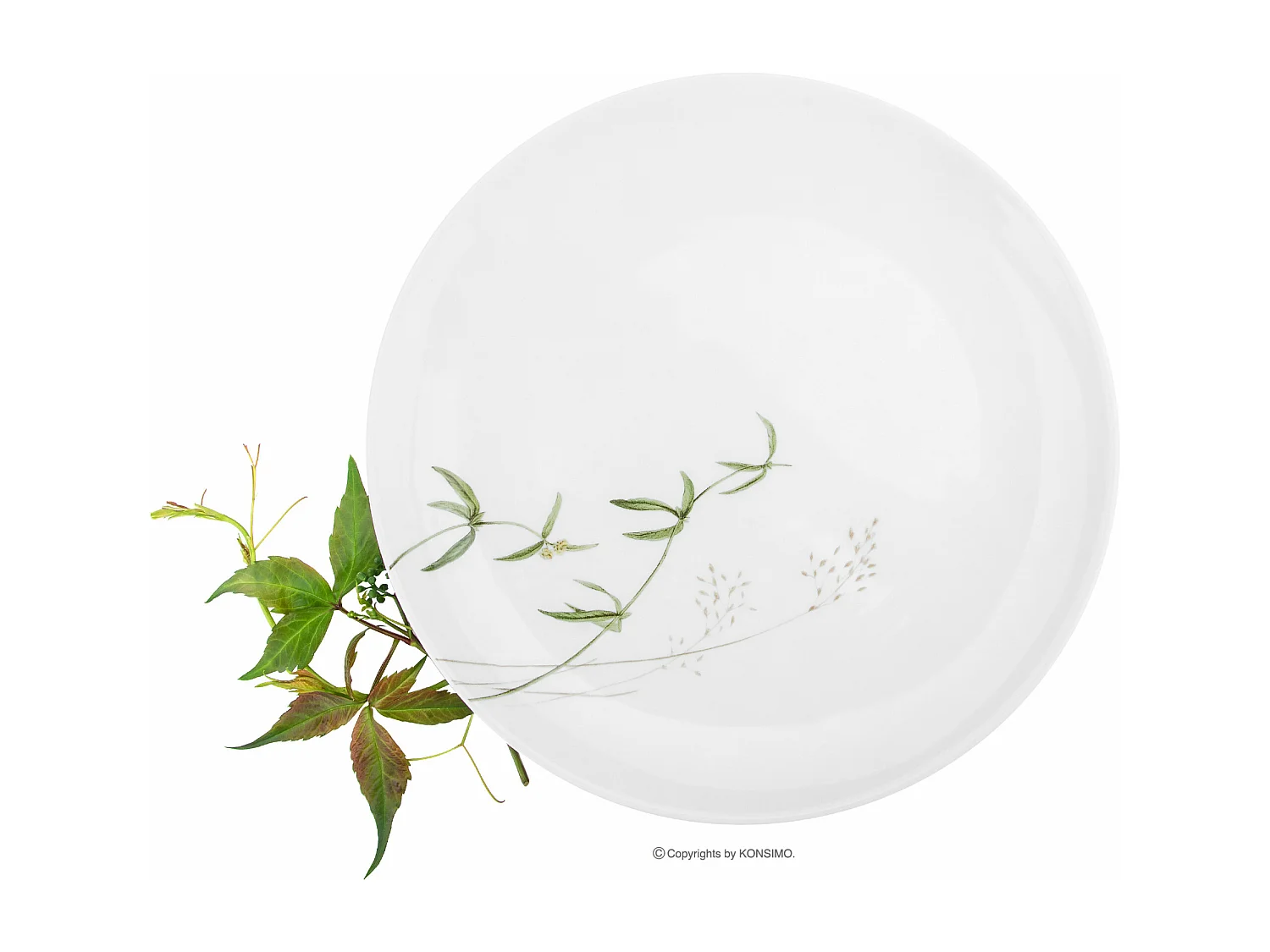 Mittags- und Kaffeeset für 6 Personen 30-tlg. - Porzellan - weiß/grün - BOSS