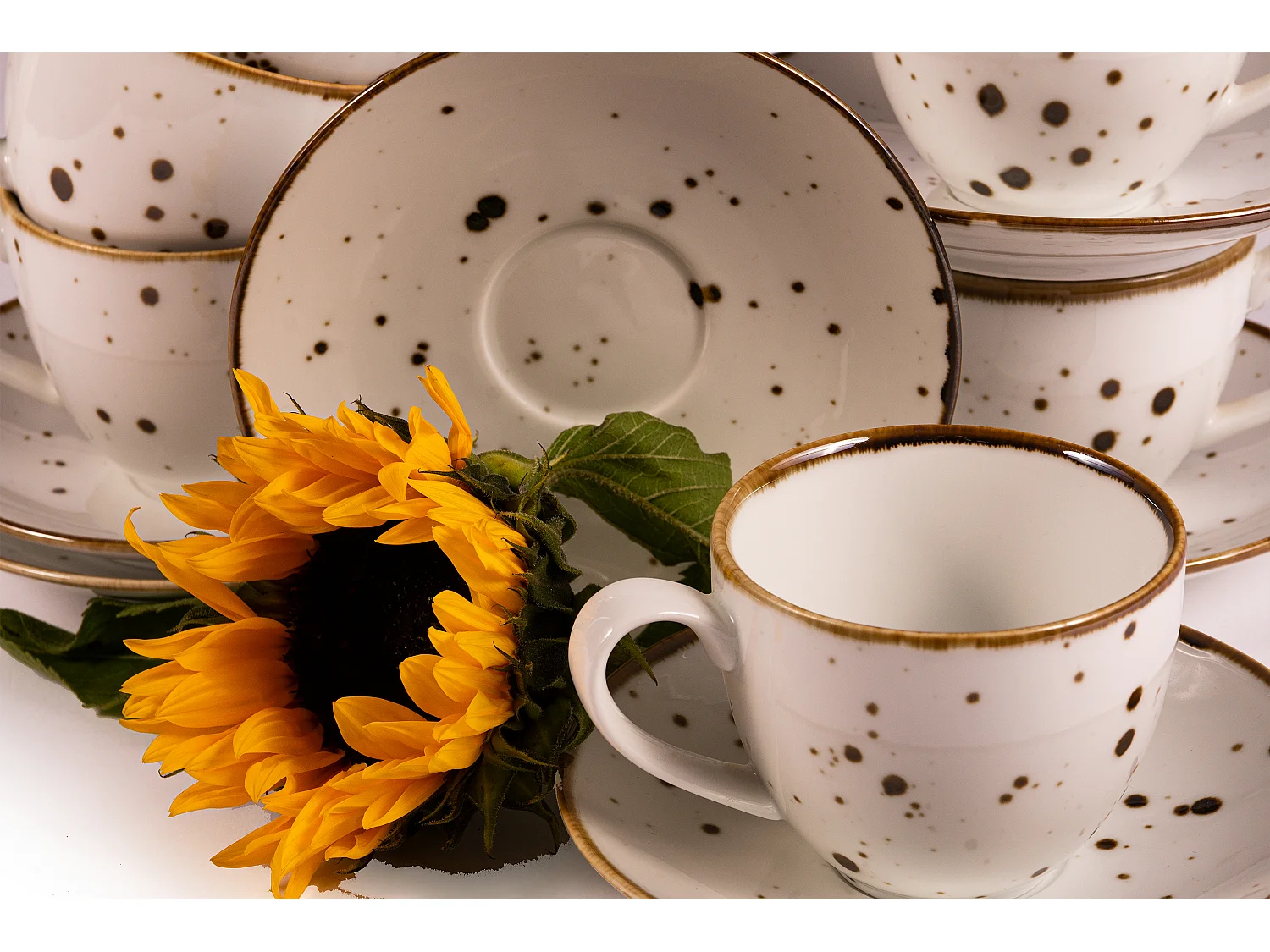 Kaffeeservice (12-tlg) - 6 Personen - Porzellan - cremefarben - ALUMINA