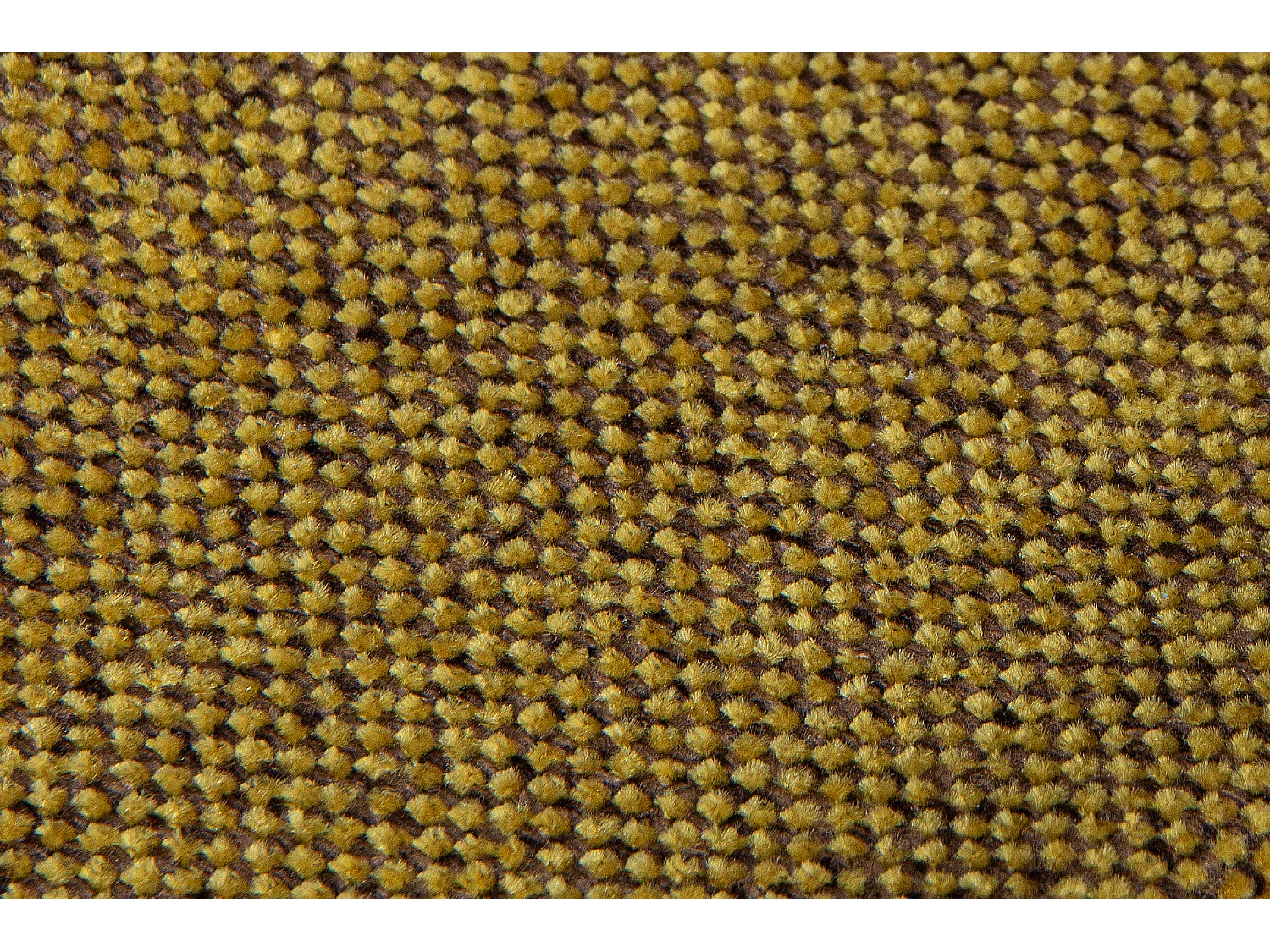 Ohrensessel honigfarben - Masivholzbeine buche - MILES