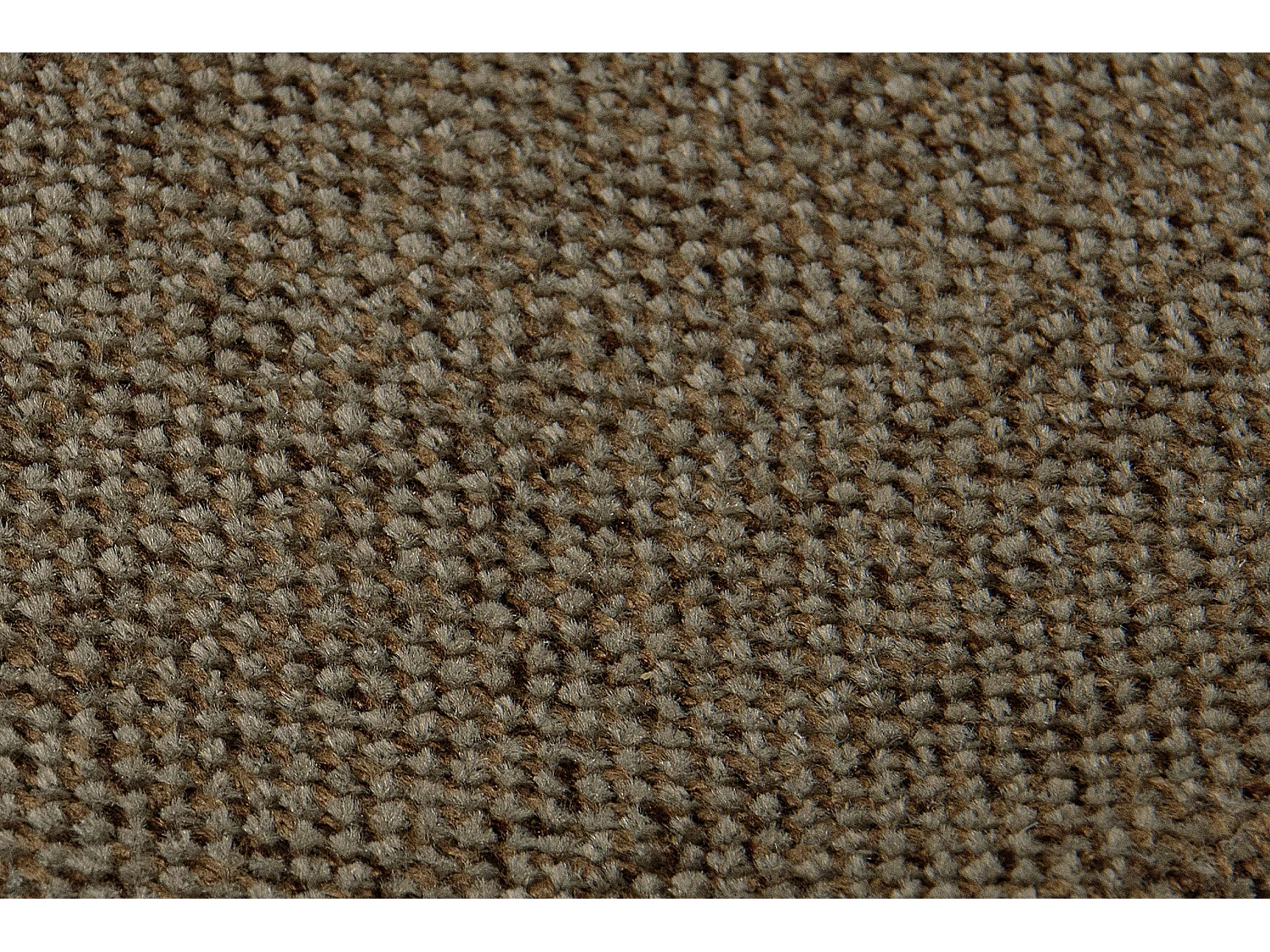 Ohrensessel Massivholzbeine schwarz -  braun - MILES