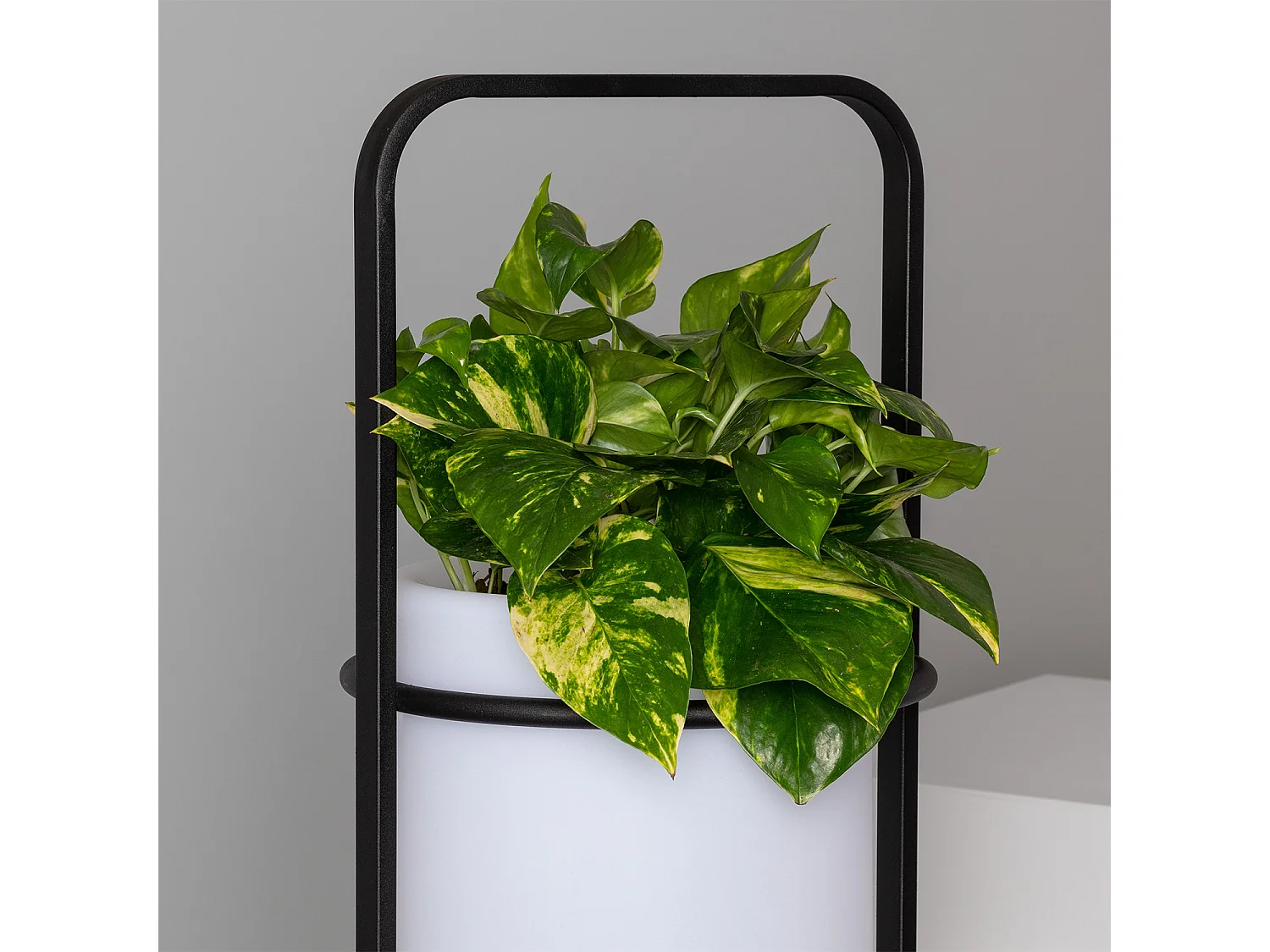 Lampadaire Extérieur Métal LED 5W RGB Pot de Fleurs Ø30 cm Rechargeable IP65 RGBW